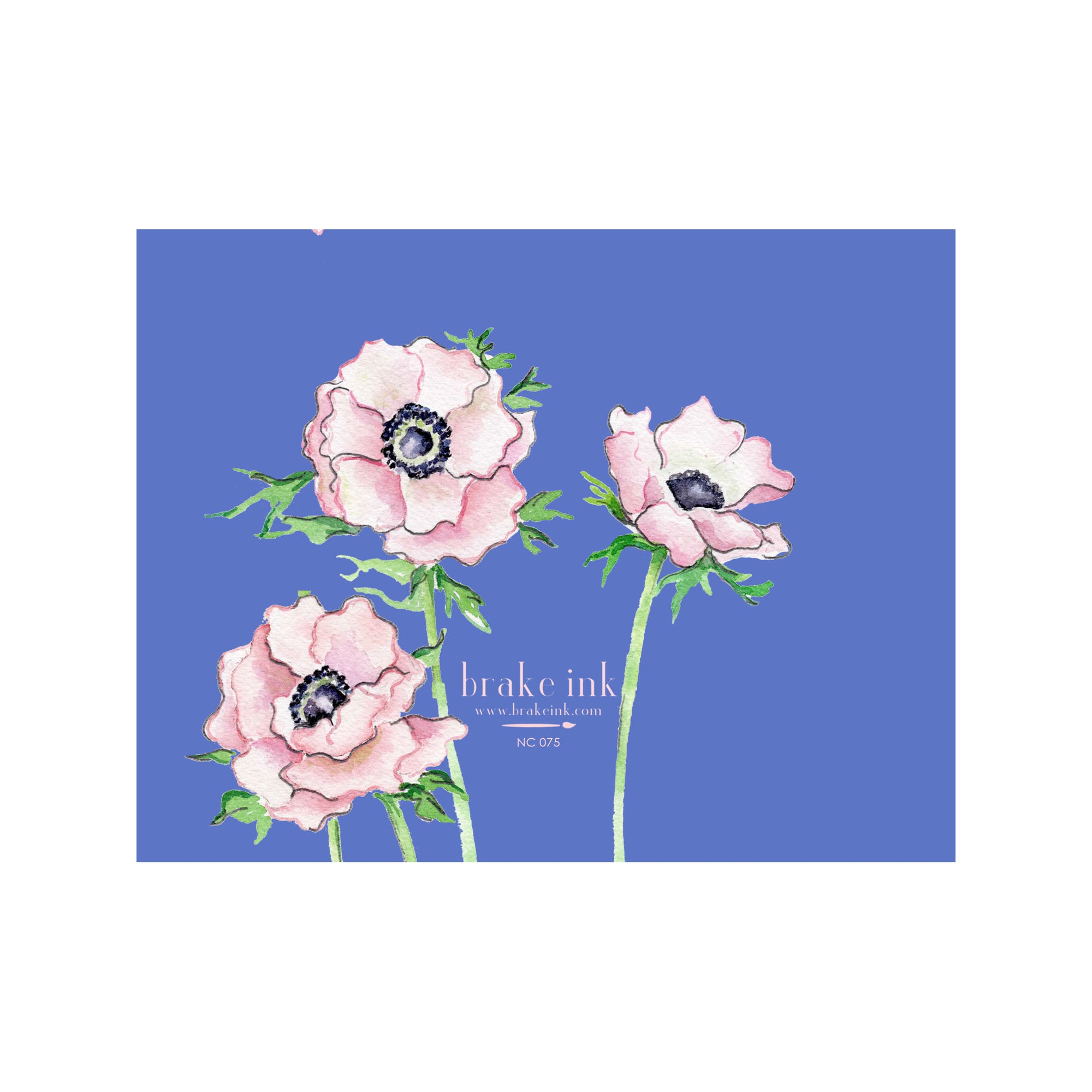 Anemone Note Cards
