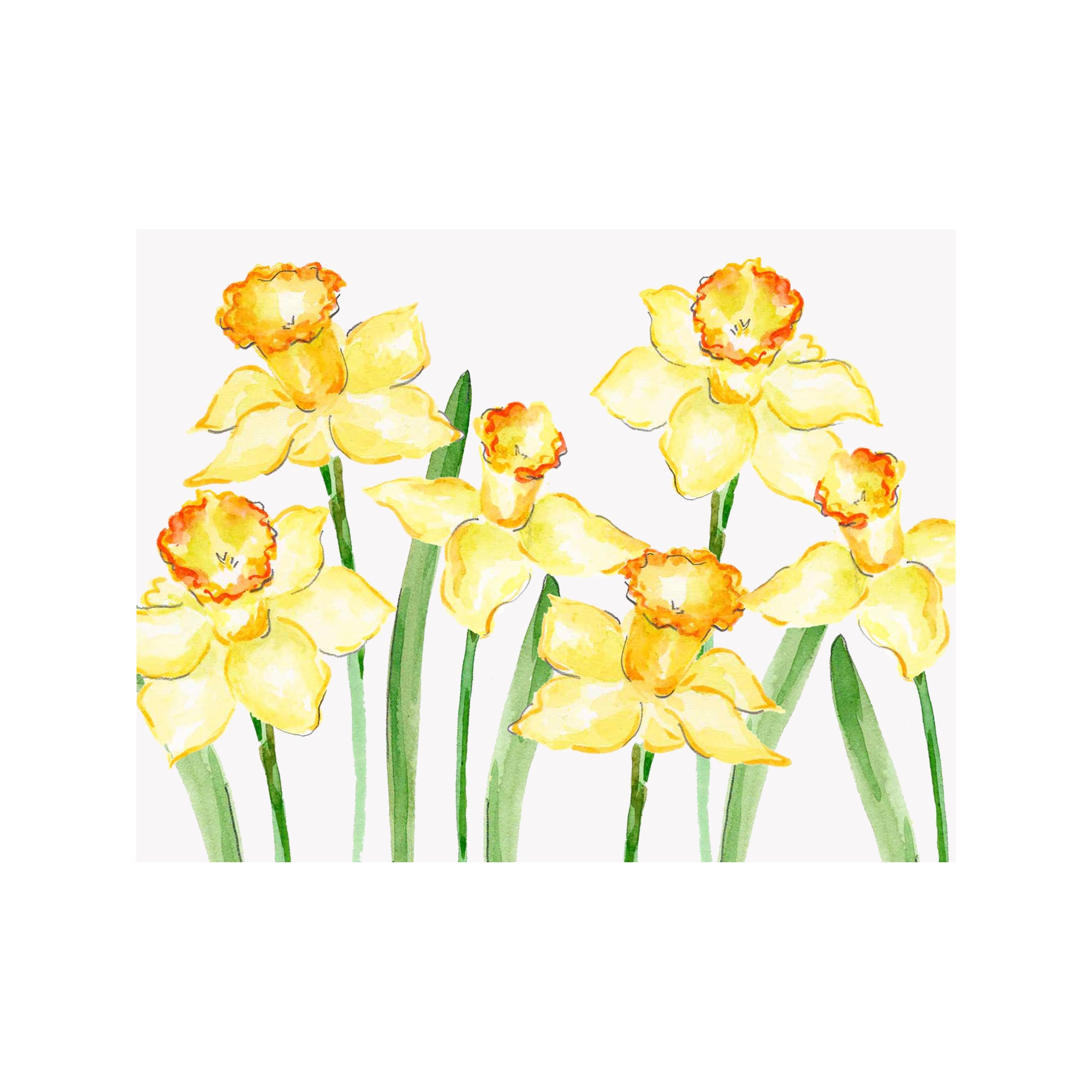 Daffodil Fields Note Cards
