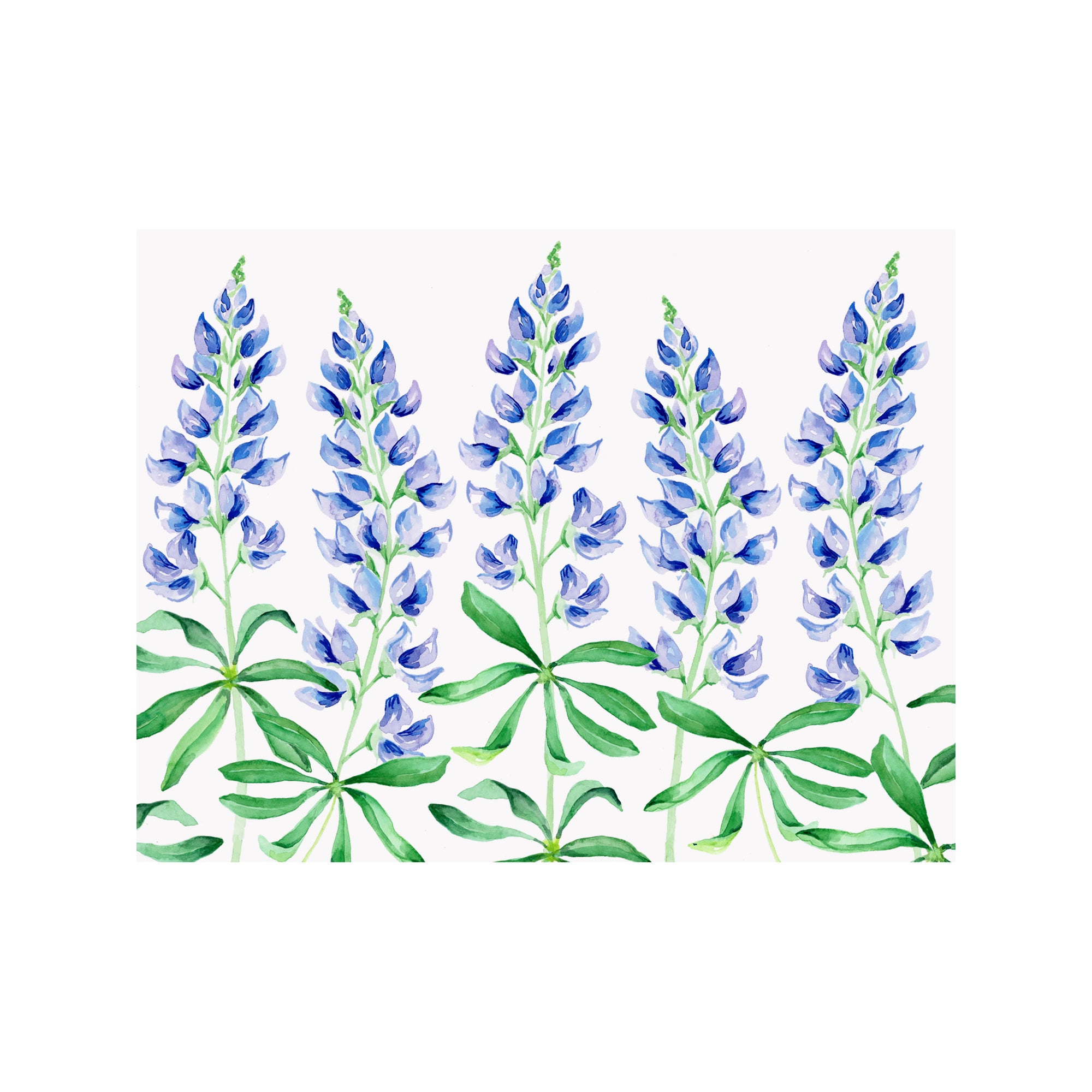 Bluebonnet Floral Note Cards