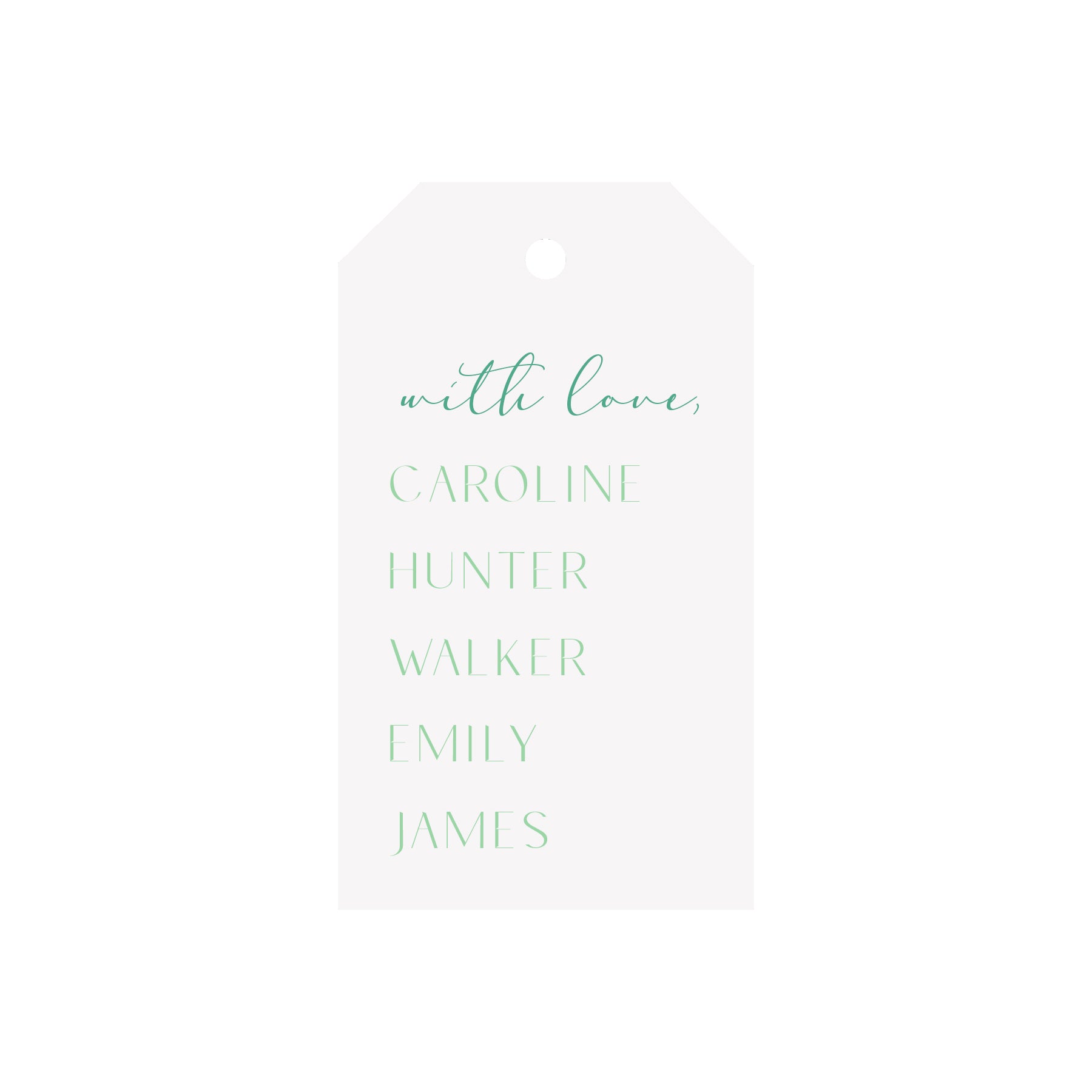 Family Names Personalized Luggage Gift Tags