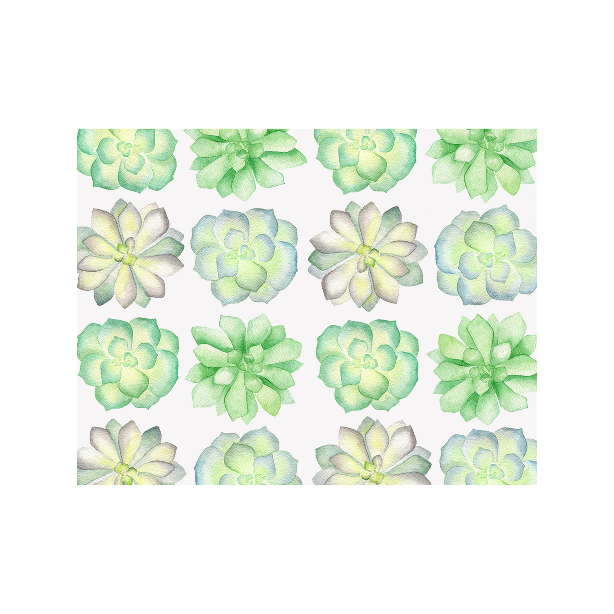 Succulent Note Cards