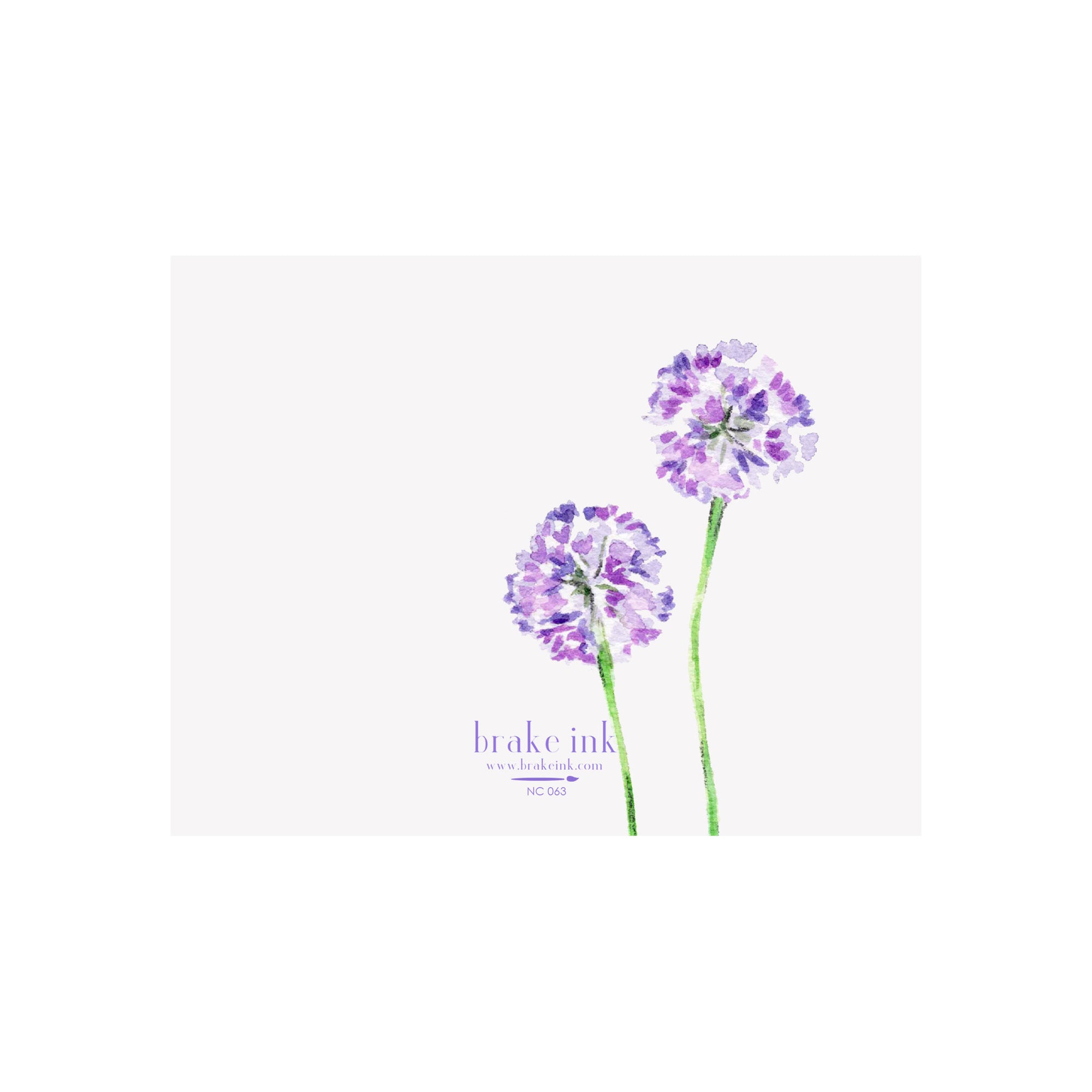 Allium Note Cards