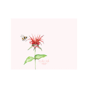 Bee Balm Bergamot Note Cards