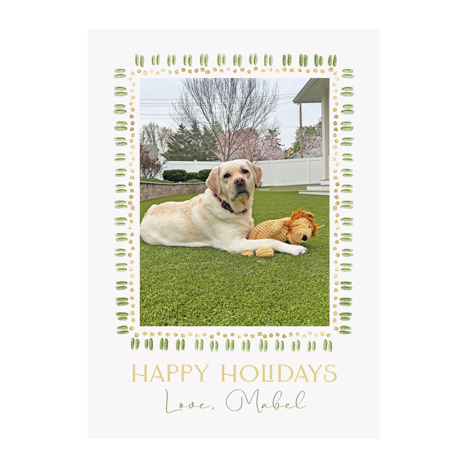 Stripes and Dots Holiday Photo Cards- Green