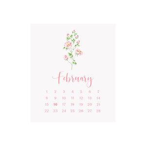 2026 Desk Calendar