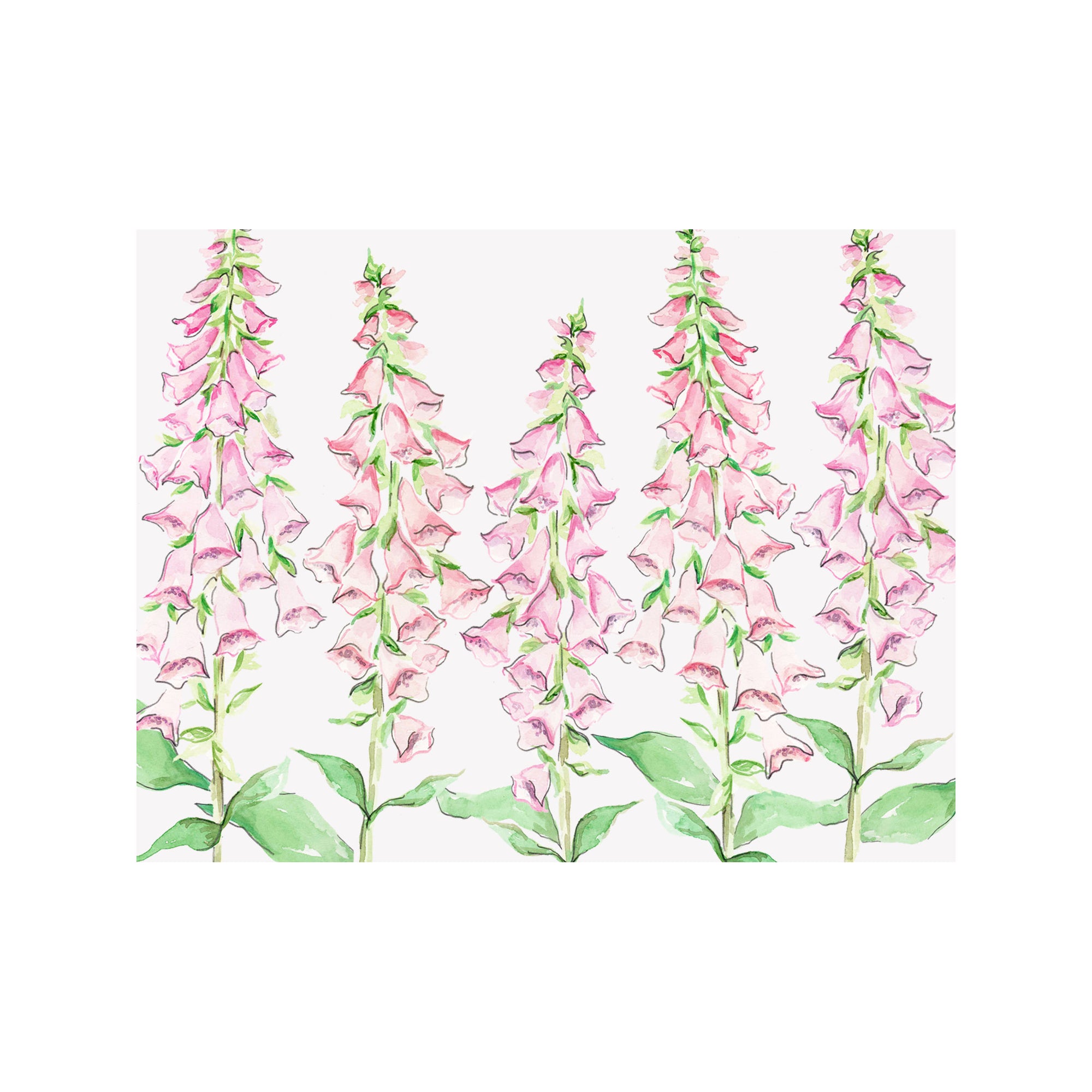 Foxglove Note Cards