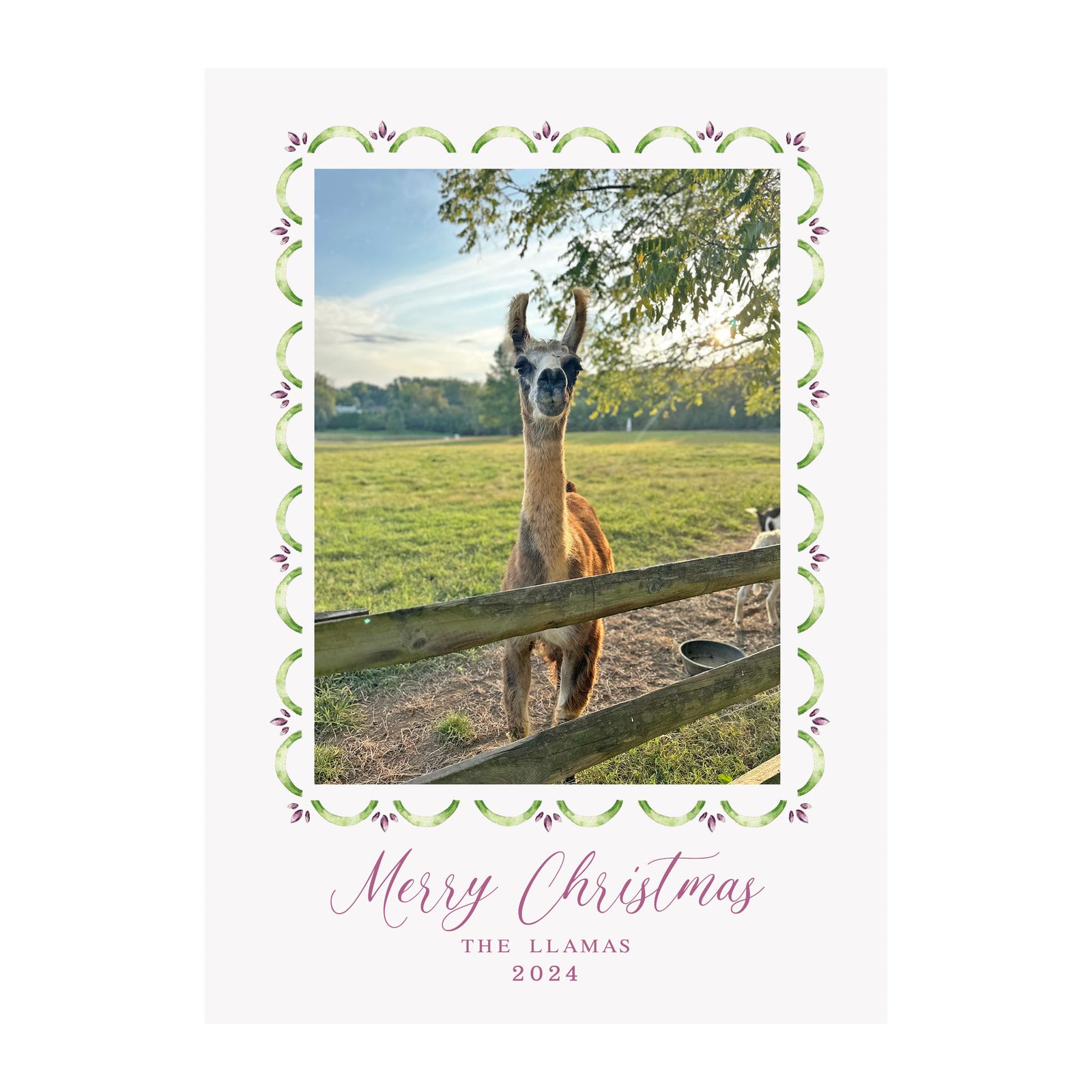 Green and Plum Scallop Holiday Photo Cards