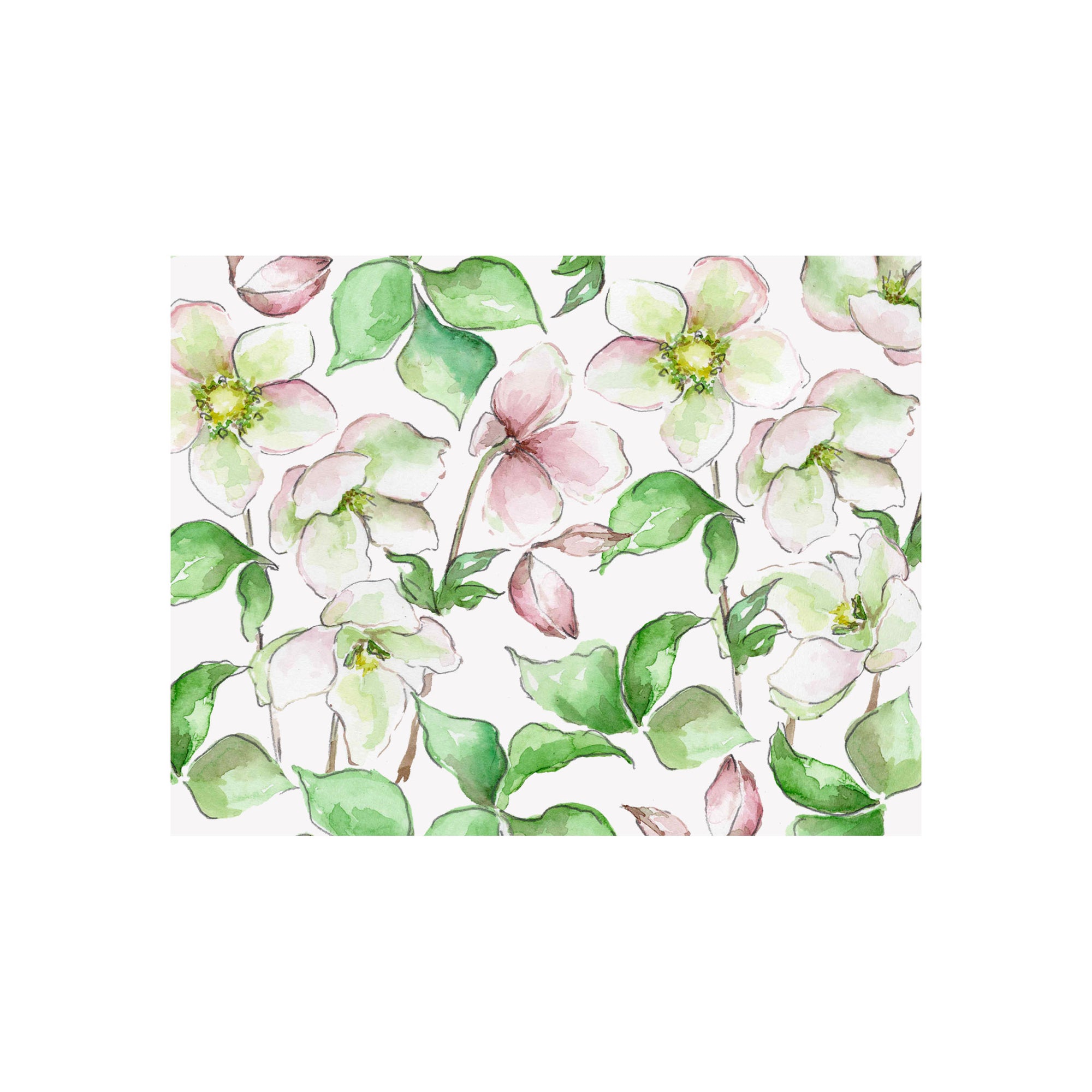 Hellebore Note Cards