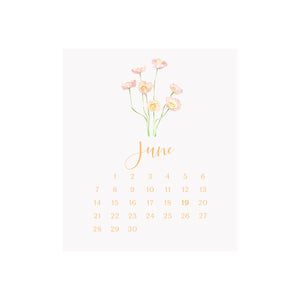2026 Desk Calendar