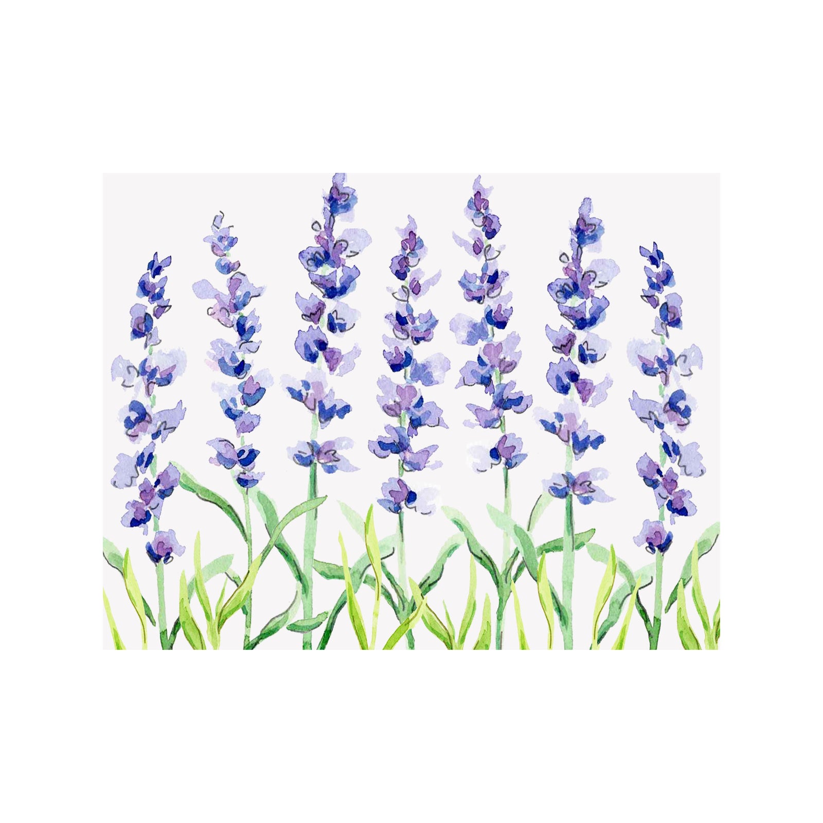 Lavender Note Cards 