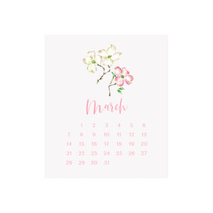 2027 Desk Calendar