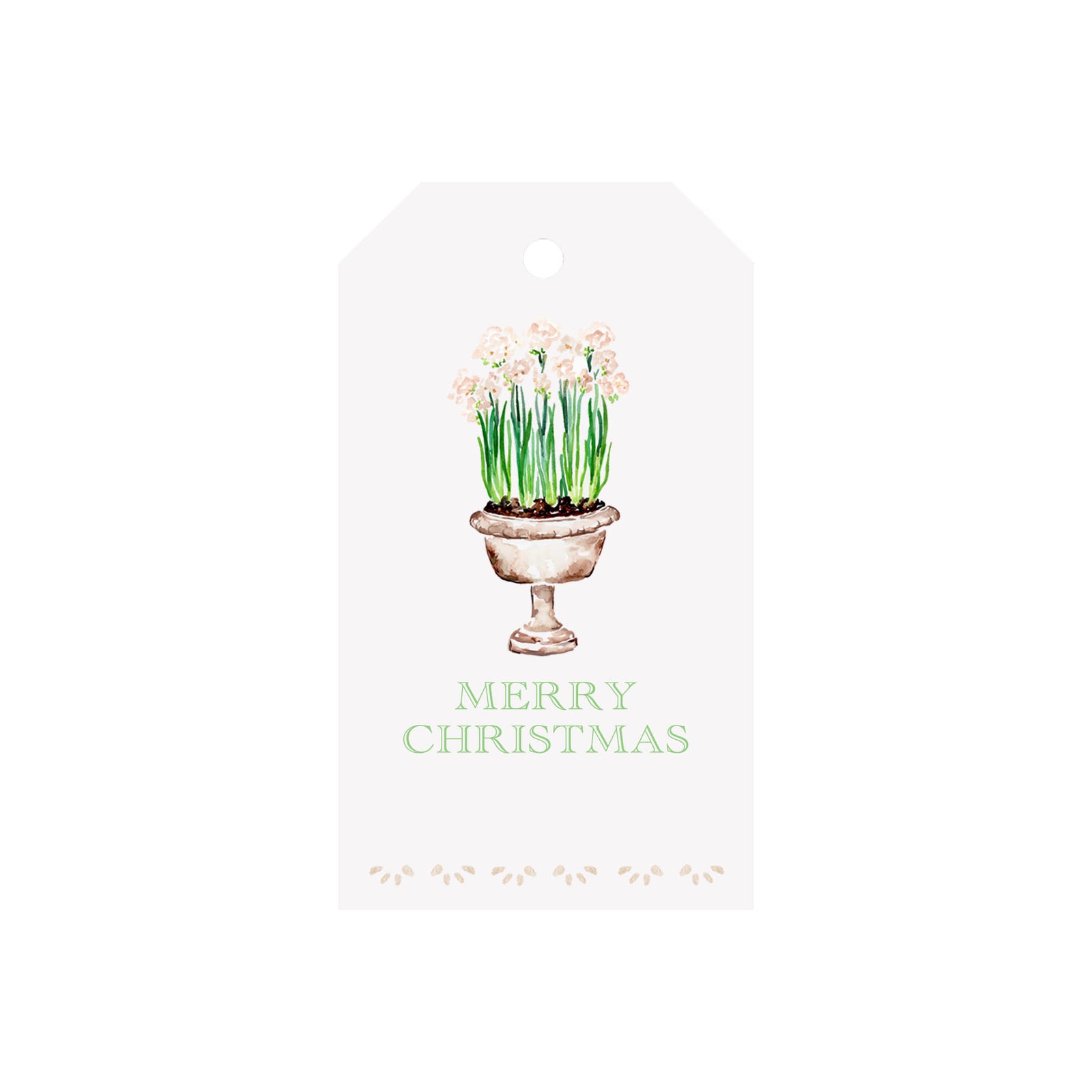 Paperwhite Planter Luggage Gift Tags