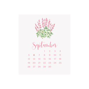 2027 Desk Calendar