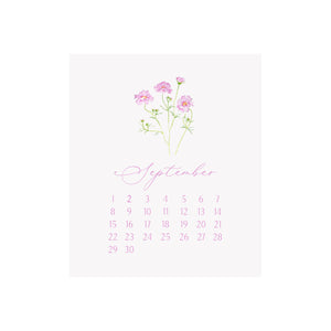 2024 Desk Calendar