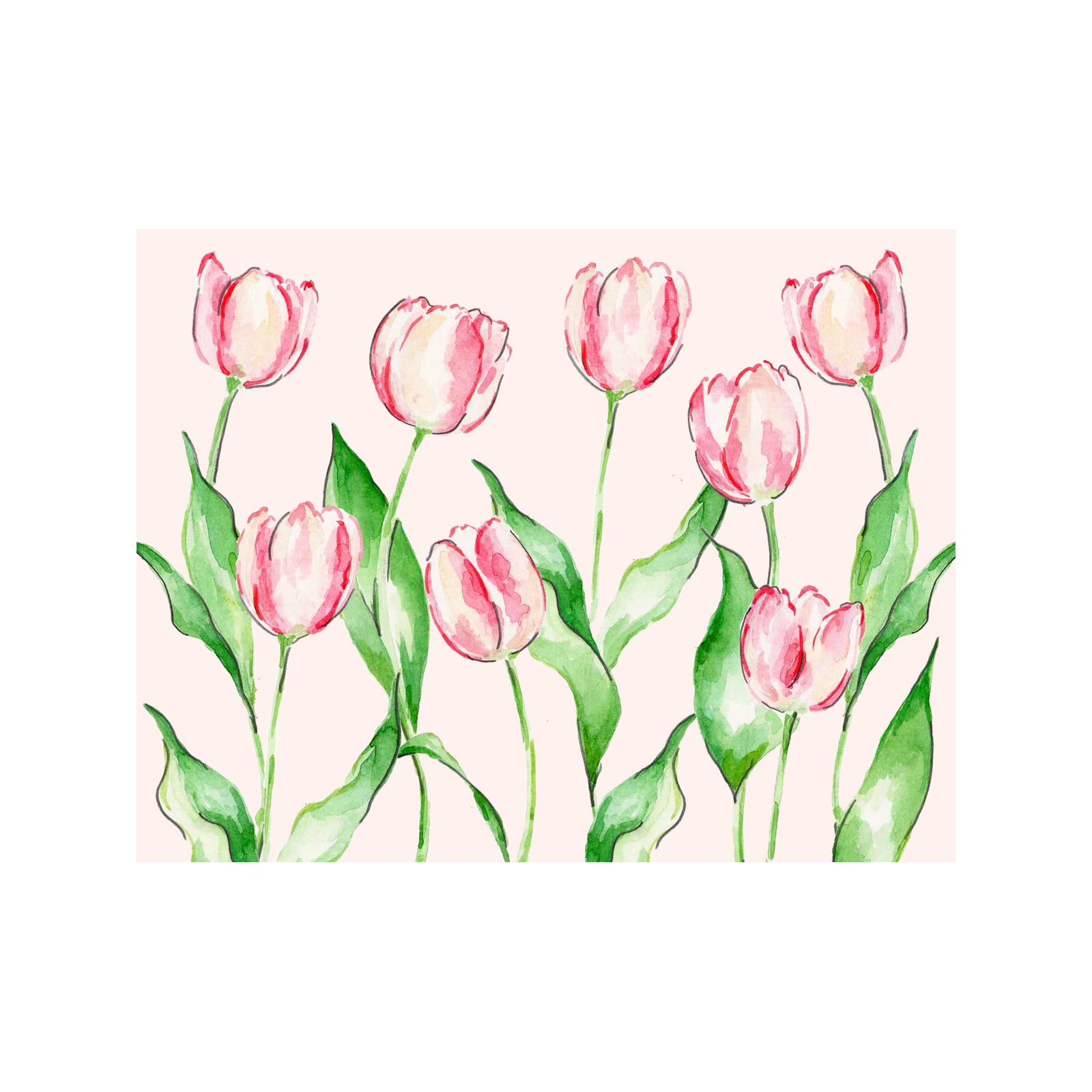 Tulip Pink Note Cards