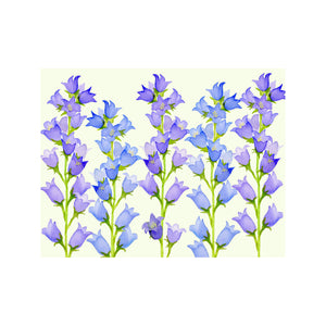 Bellflower Note Cards