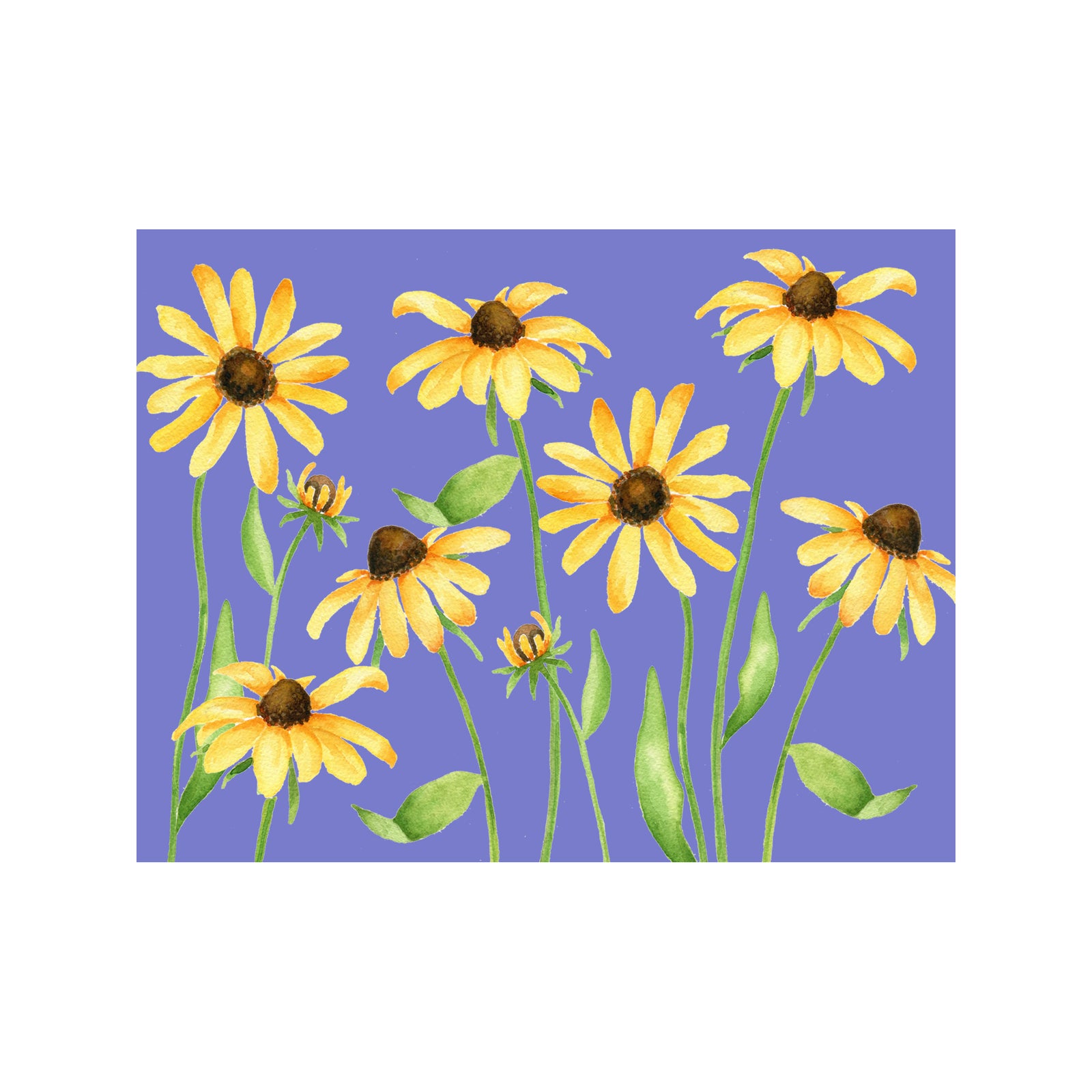 Black Eyed Susan Note Cards