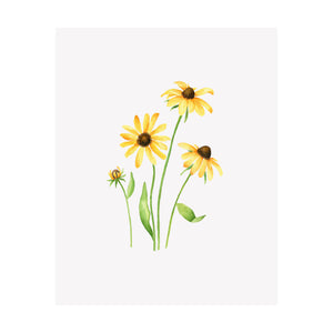 Set of 4 Floral Prints- Black Eyed Susan, Clematis, Poppy, Morning Glory