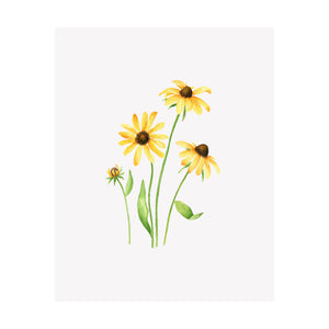 Set of 4 Floral Prints- Sunflower, Daisy, Gloriosa Lily, Narcissus