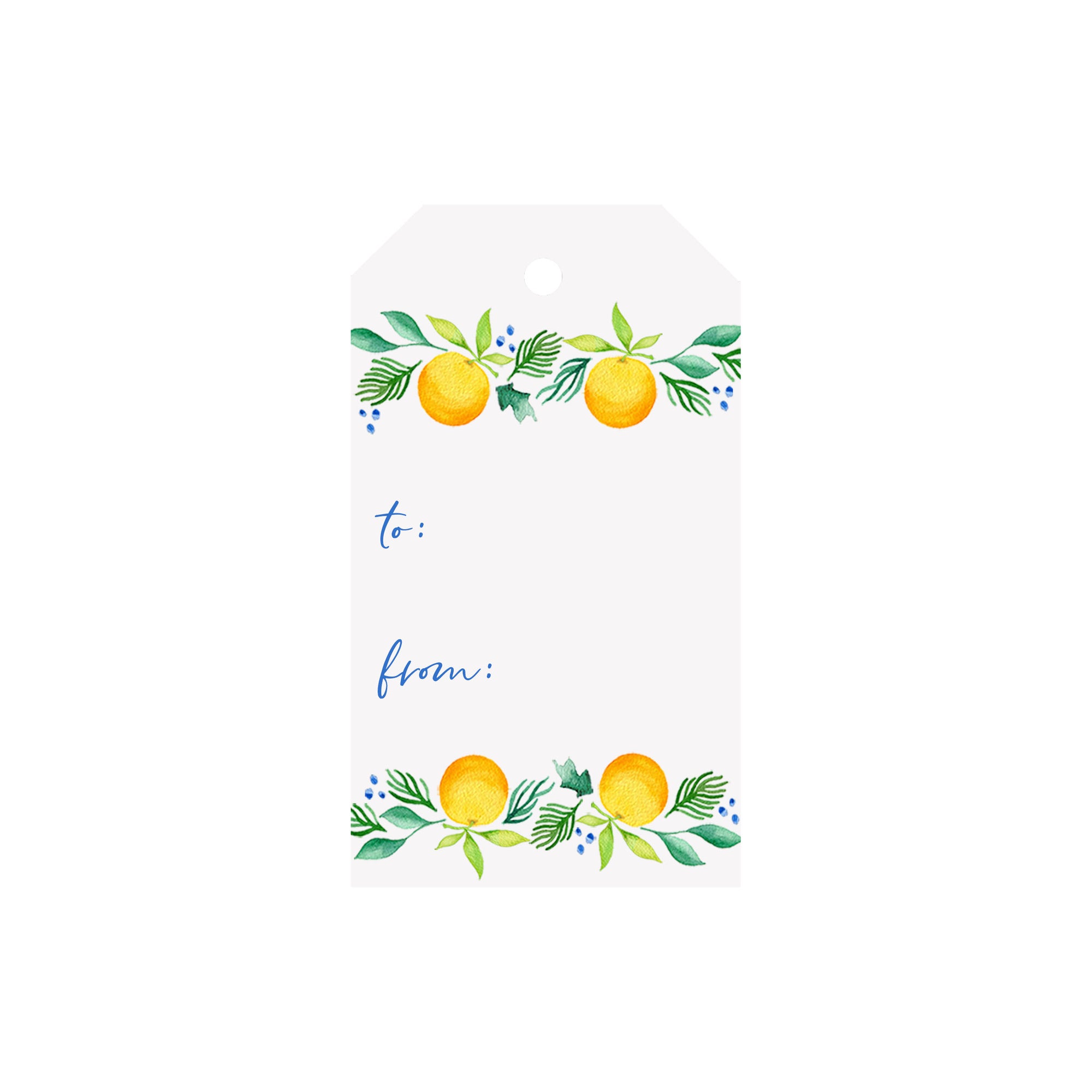 Citrus Garland Luggage Gift Tags