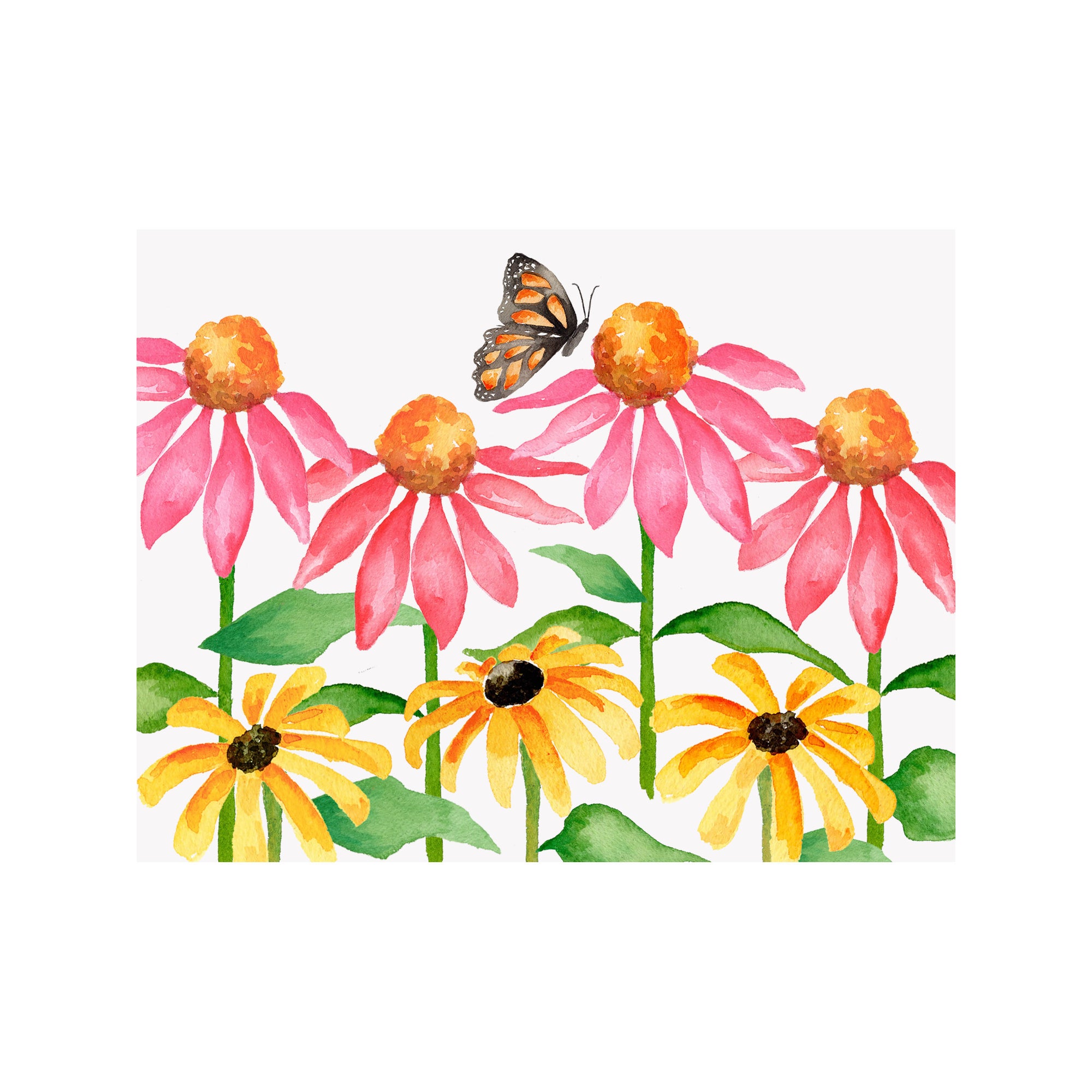 Coneflower & Black Eyed Susan Note Cards