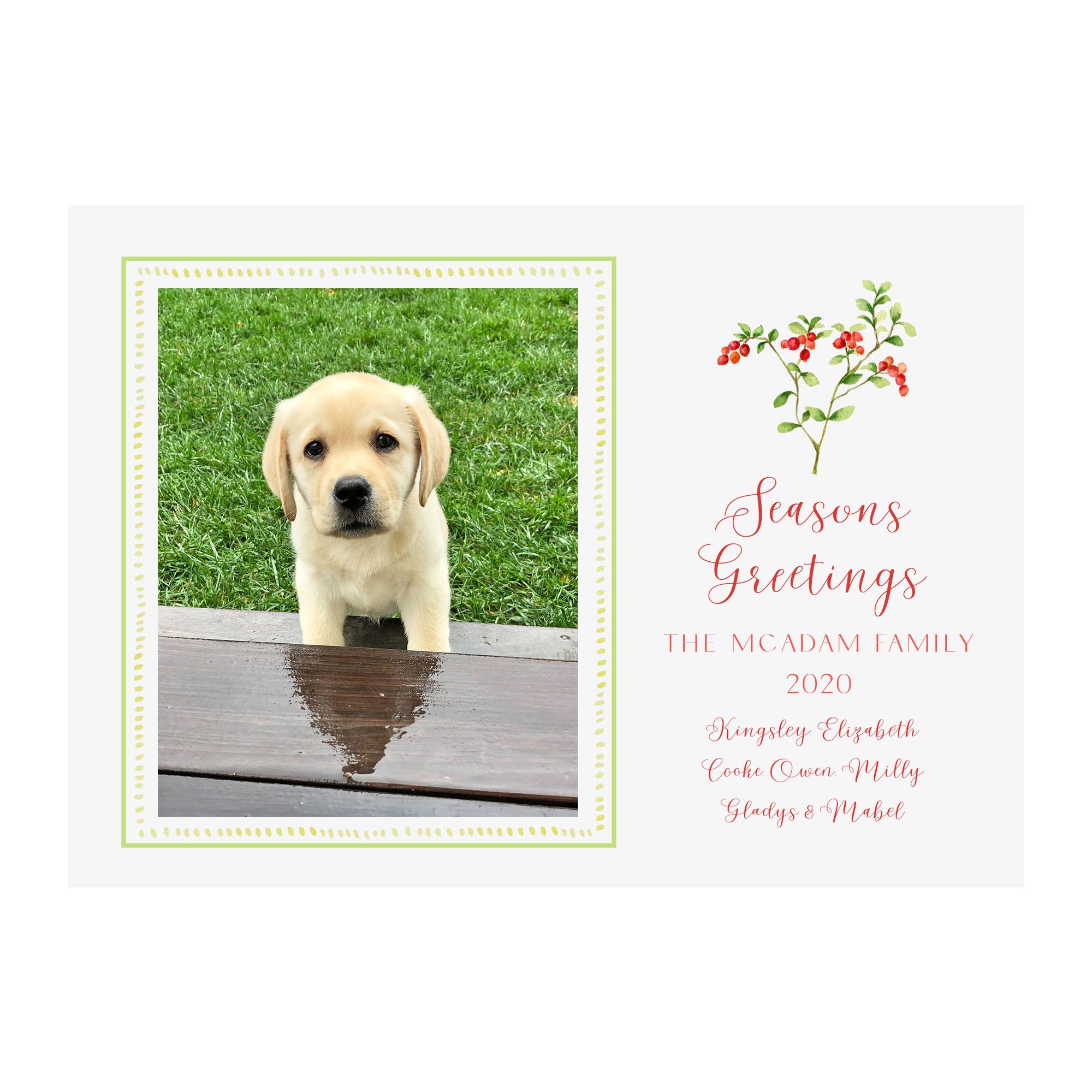 Cranberry Branch Holiday Photo Cards