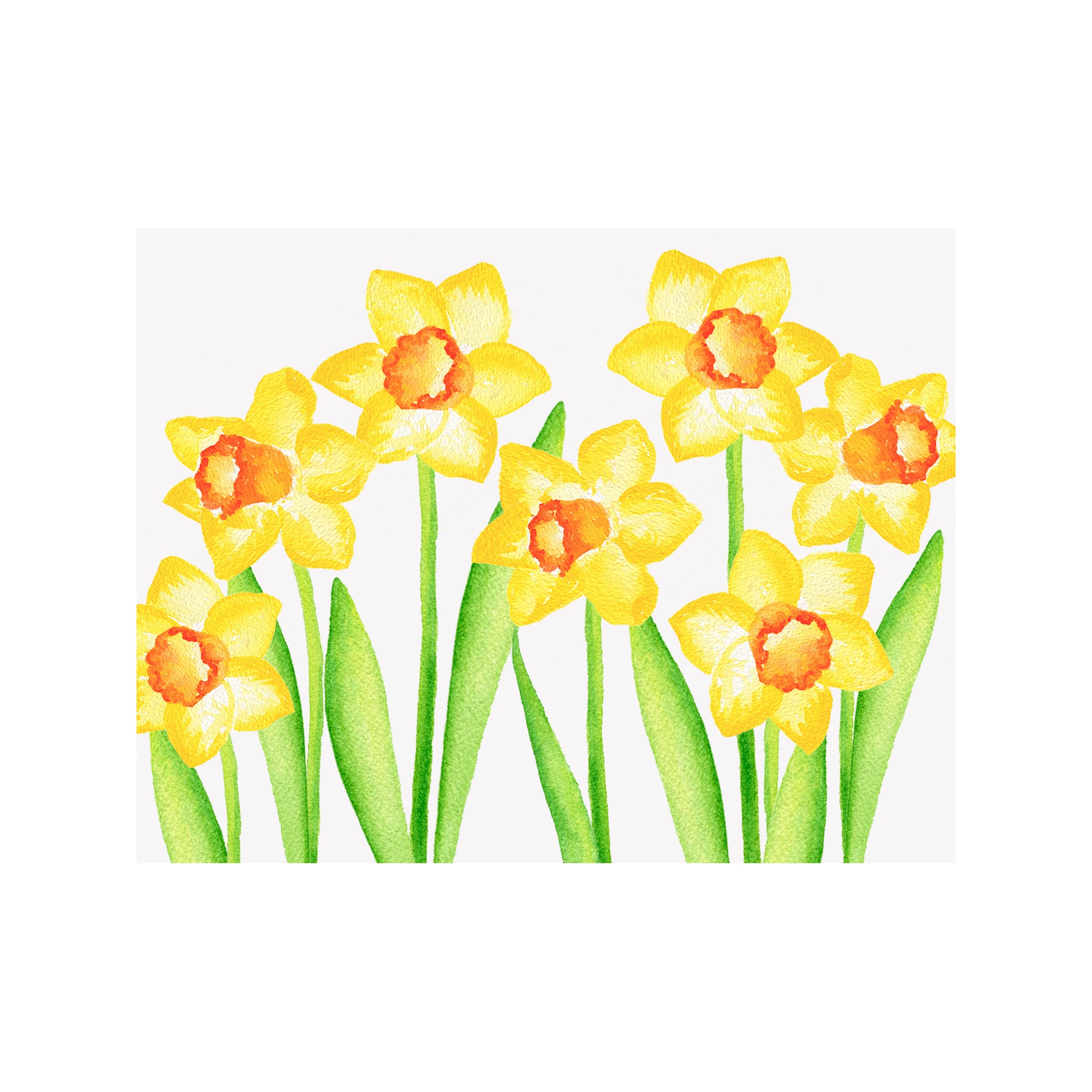 Daffodil Note Cards