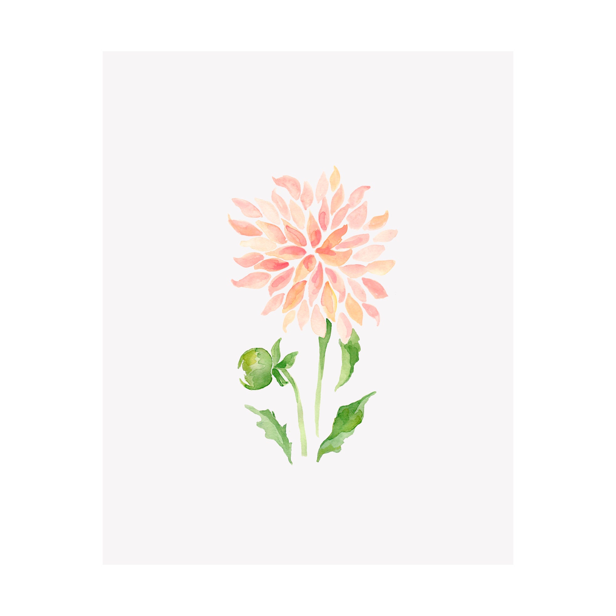 Floral Print- Dahlia