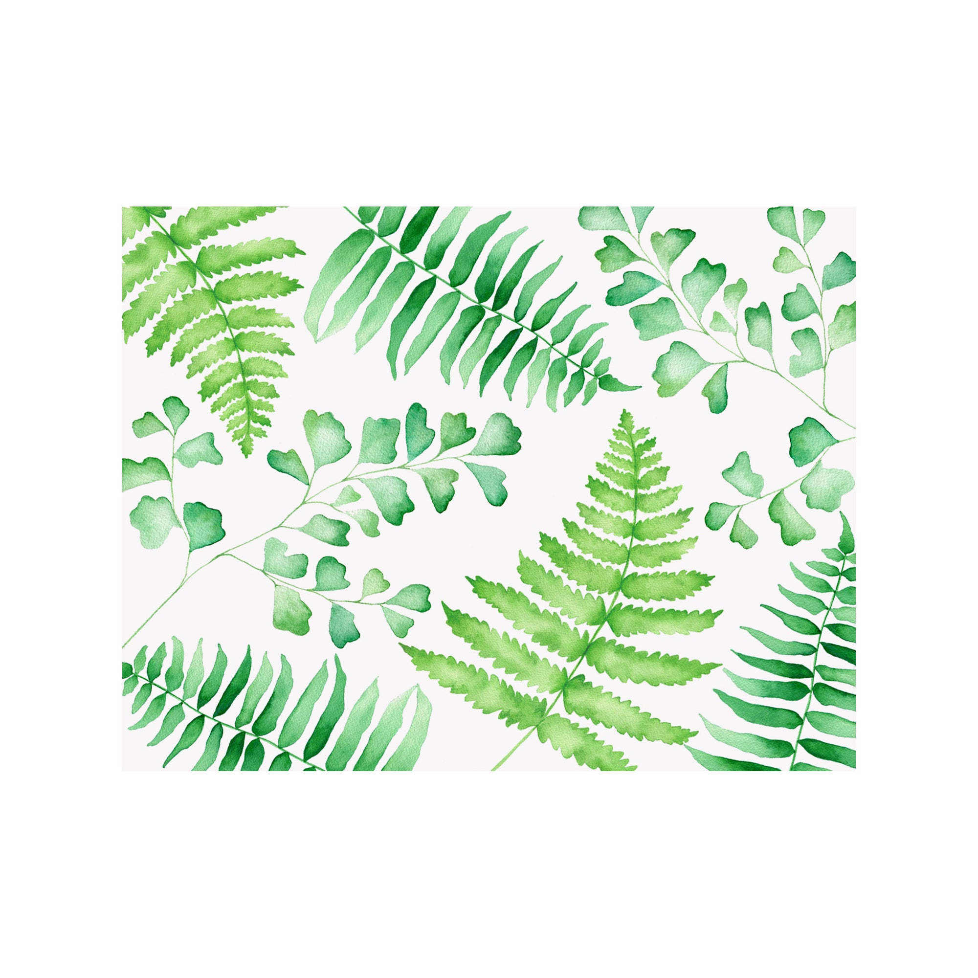 Fern Note Cards