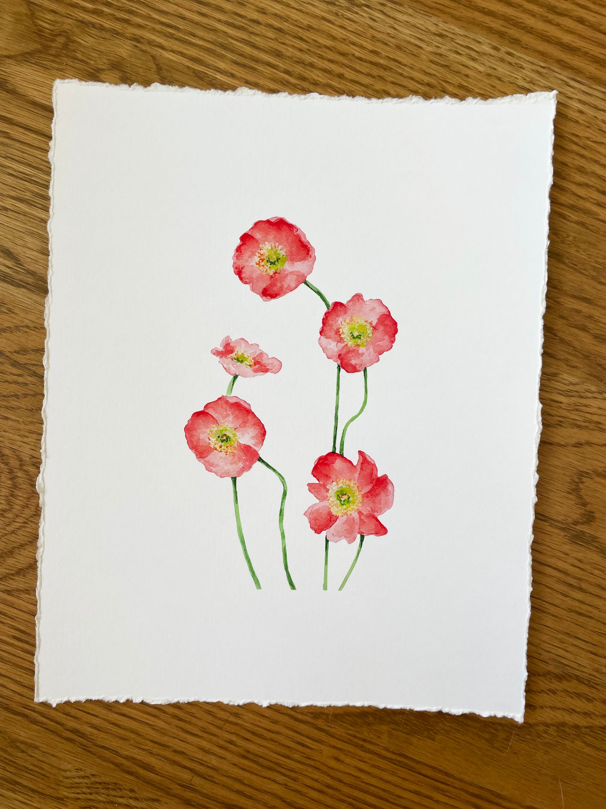 Set of 3 Floral Prints- Poppy, Narcissus, Virginia Bluebell