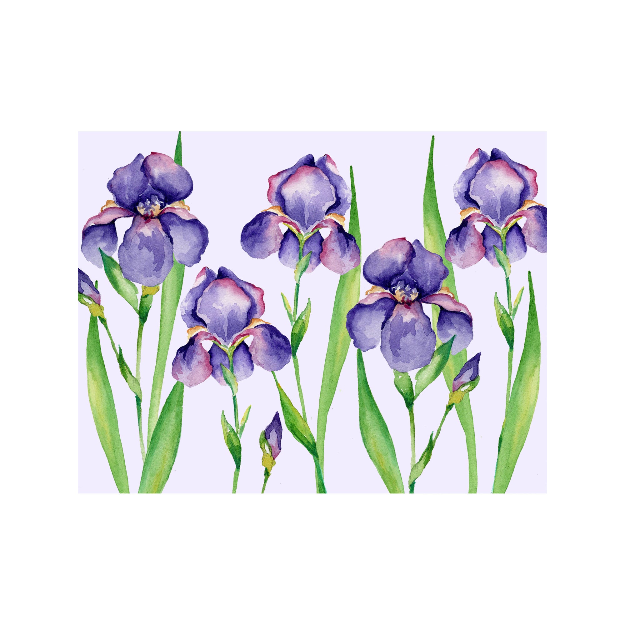 Iris Floral Note Cards