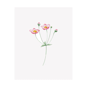 Floral Print- Japanese Anemone