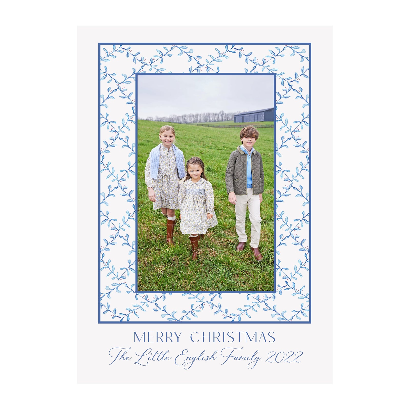 Mistletoe Vine Holiday Photo Cards- Blue