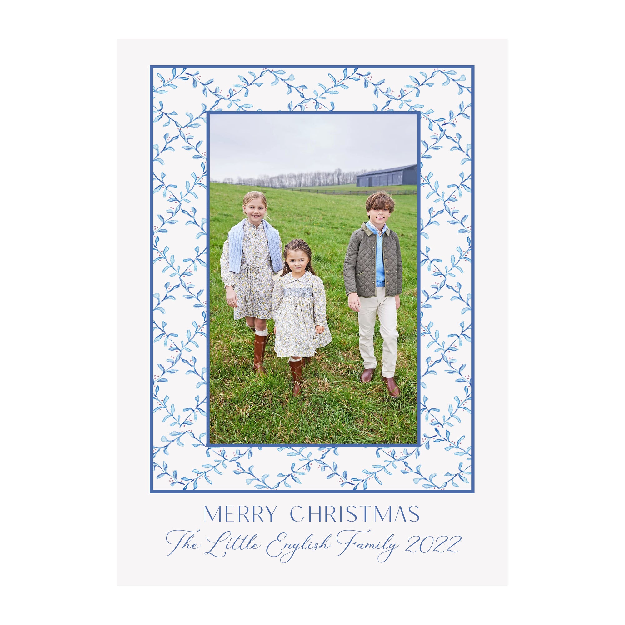 Mistletoe Vine Holiday Photo Cards- Blue