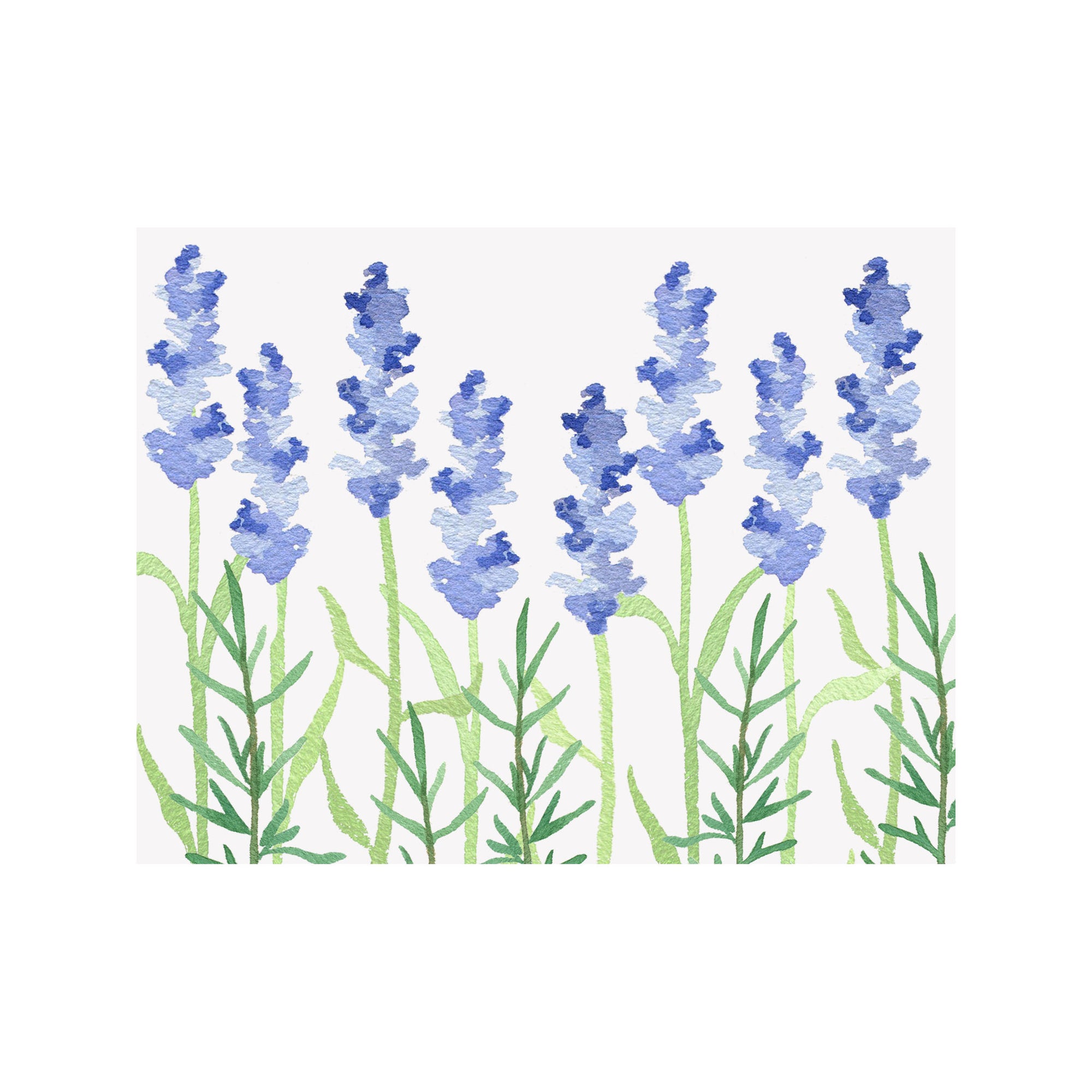 Lavender Note Cards