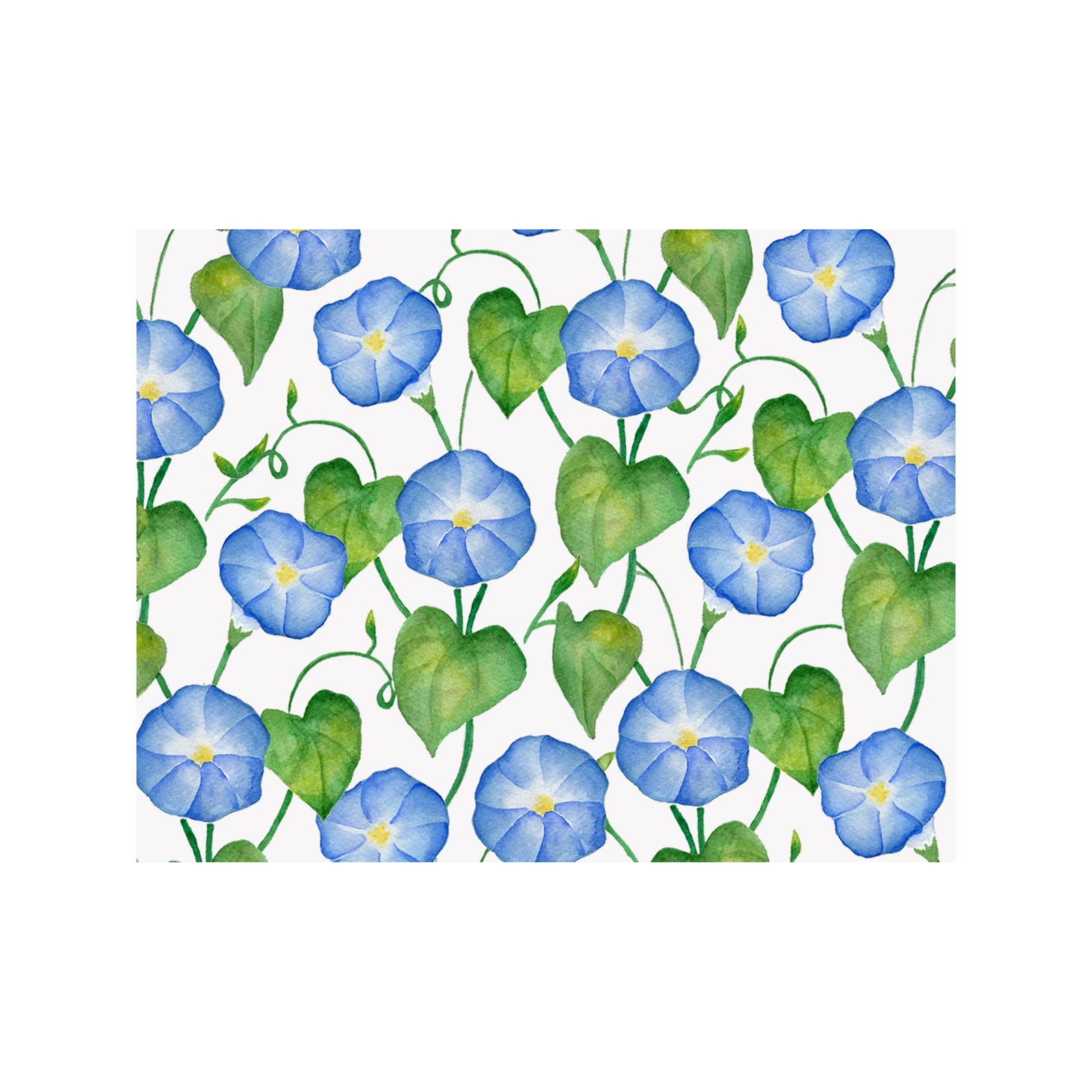 Morning Glory Note Cards