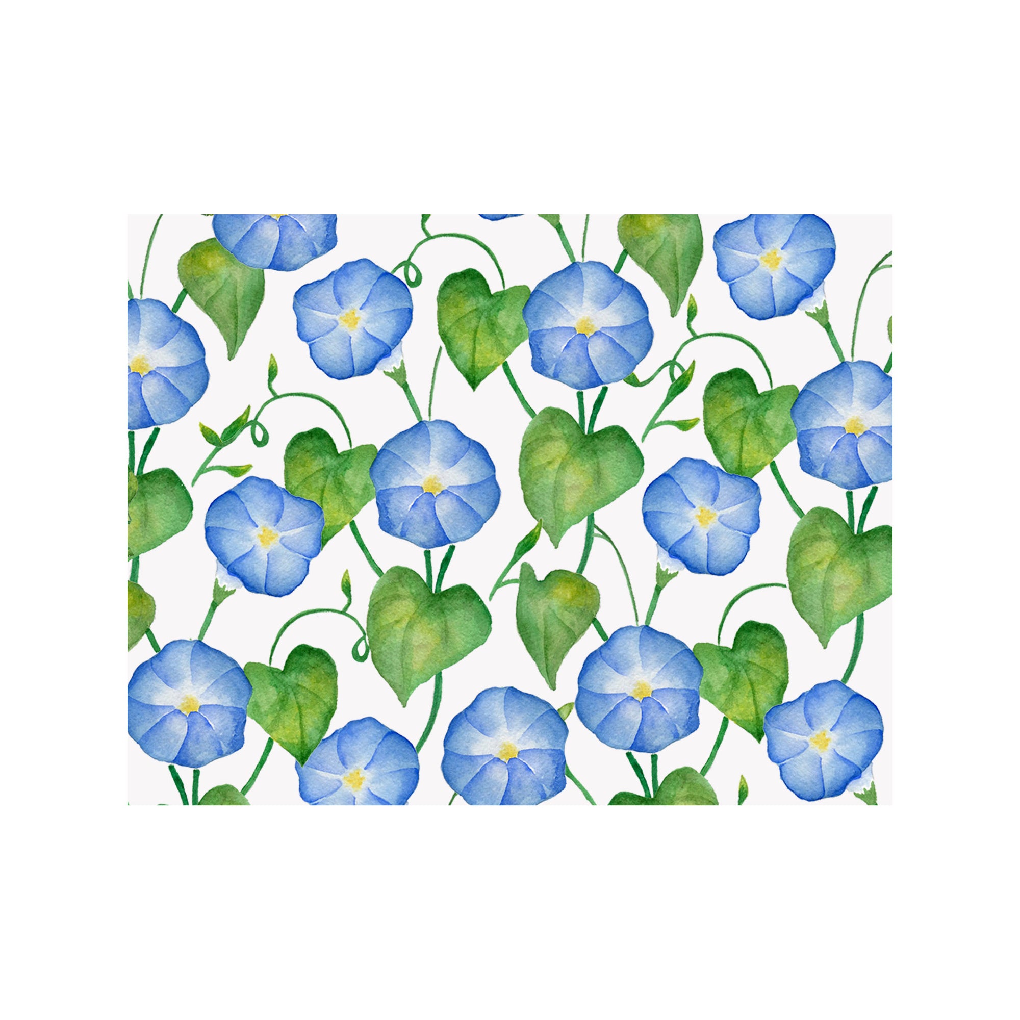 Morning Glory Note Cards