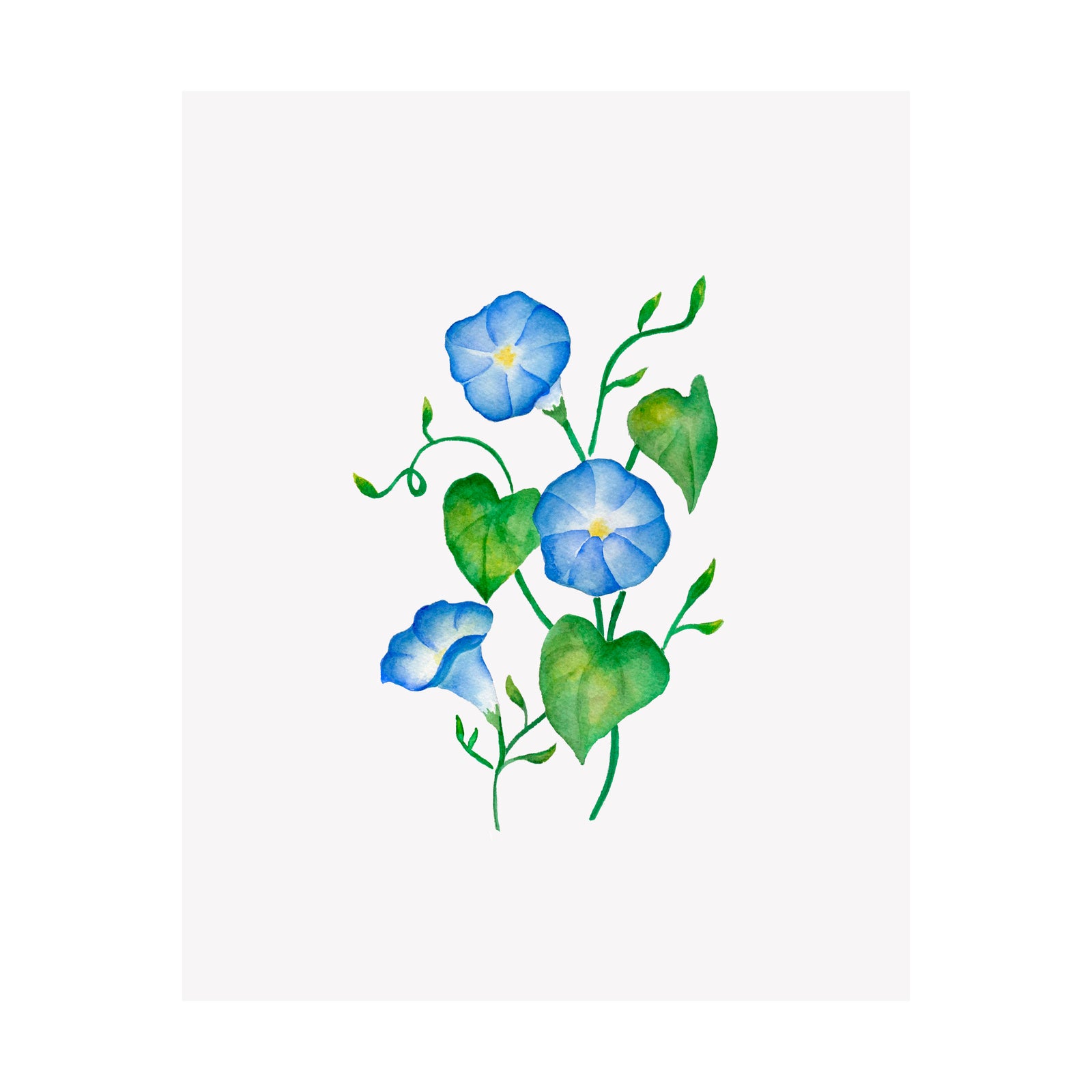 Floral Print- Morning Glory