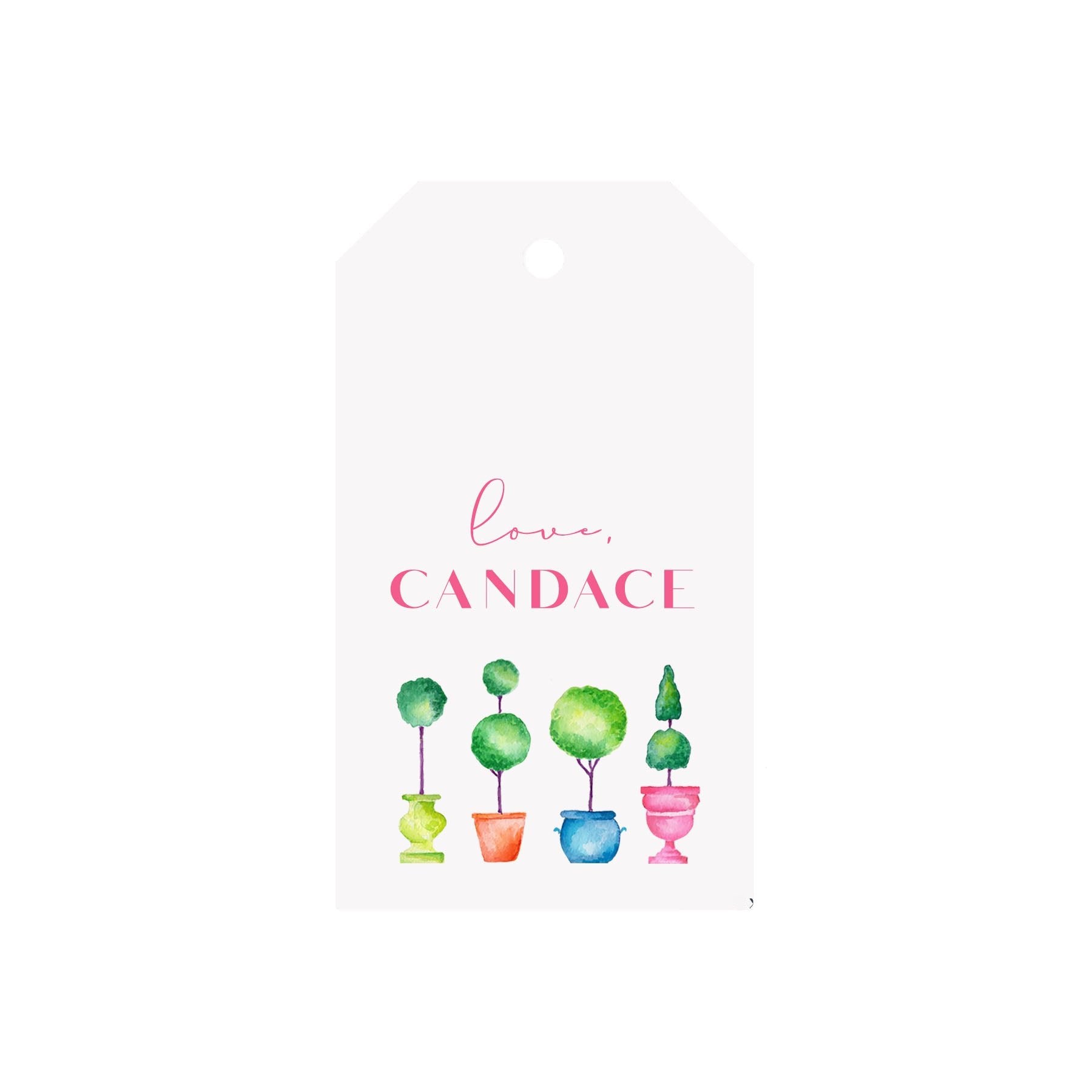 Neon Topiaries Personalized Luggage Gift Tags