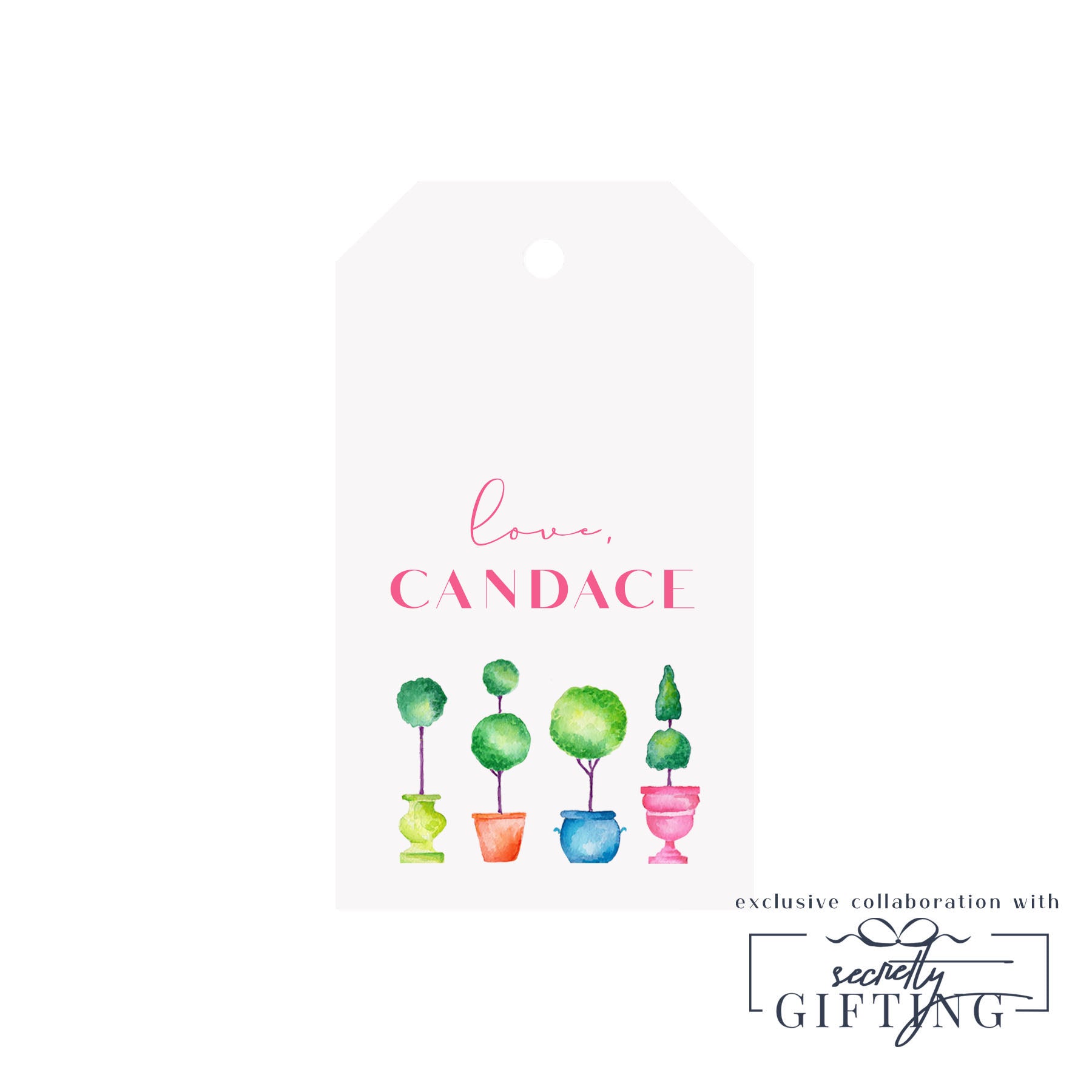 Neon Topiaries Personalized Luggage Gift Tags