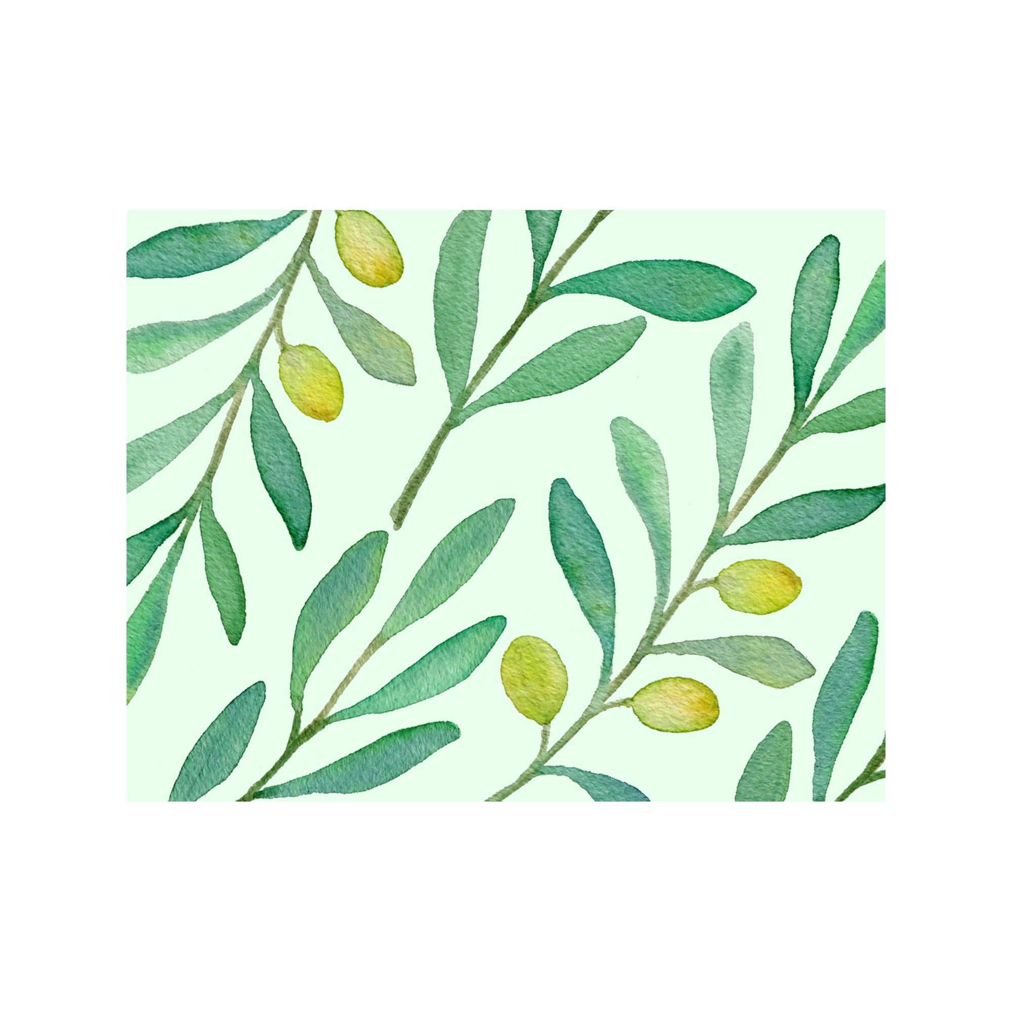 Olive Oil Note Cards