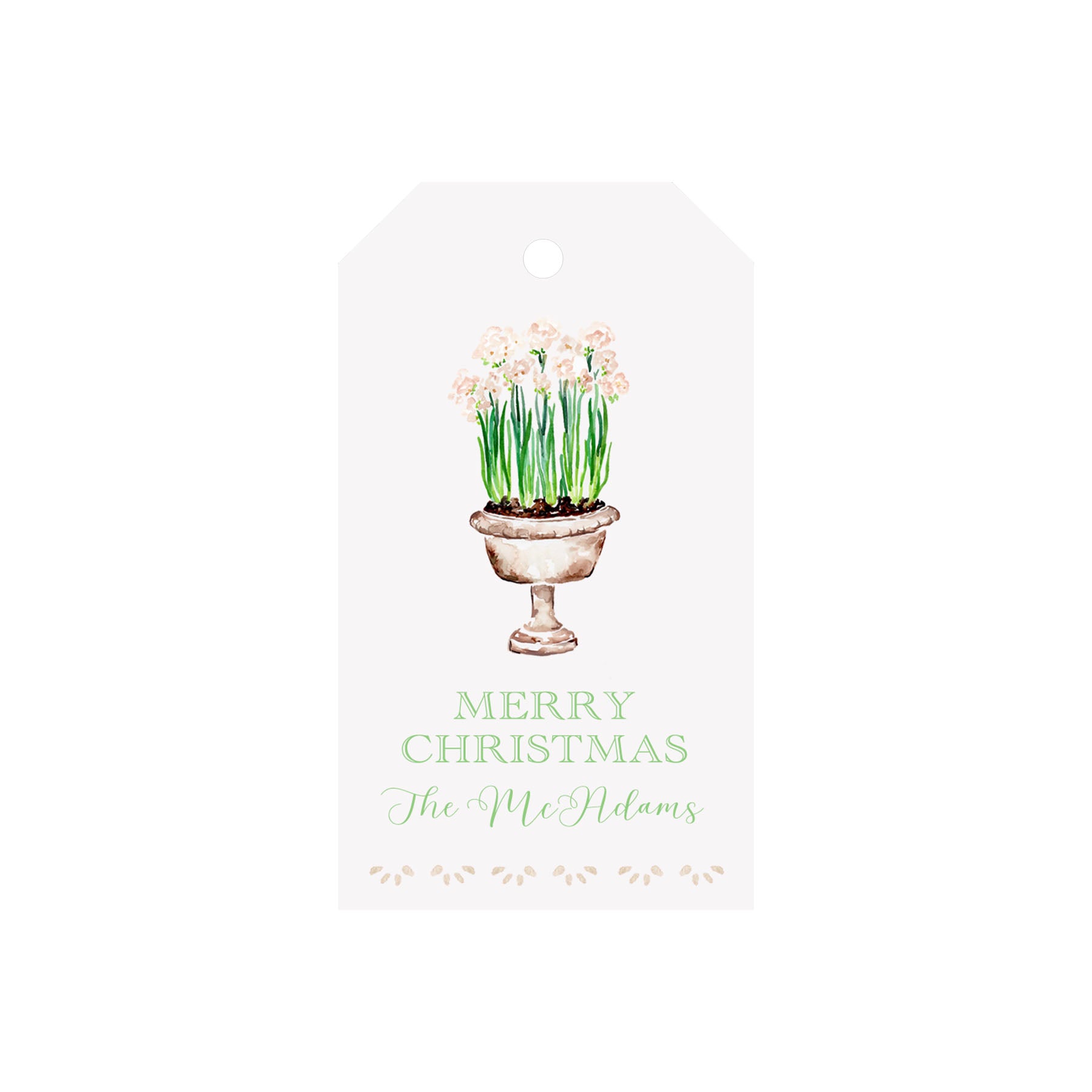 Paperwhite Planter Personalized Luggage Gift Tags