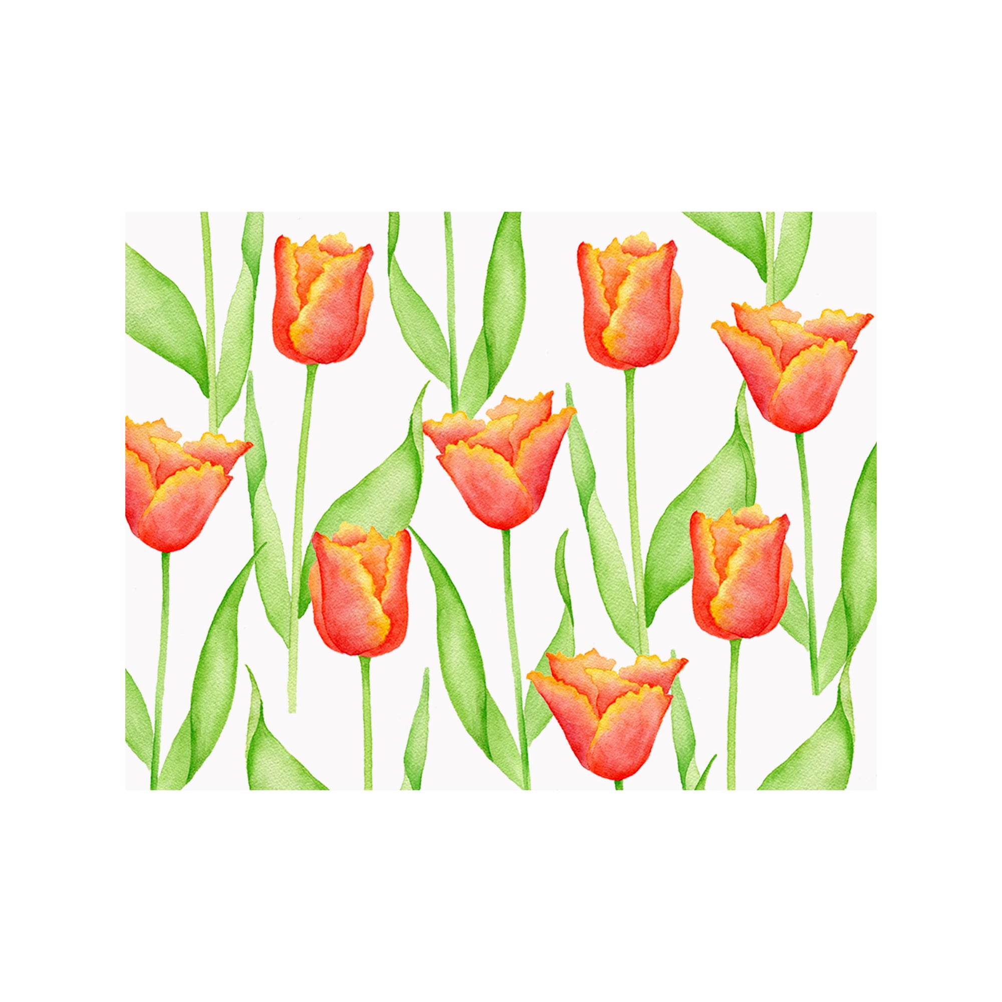 Parrot Tulip Note Cards