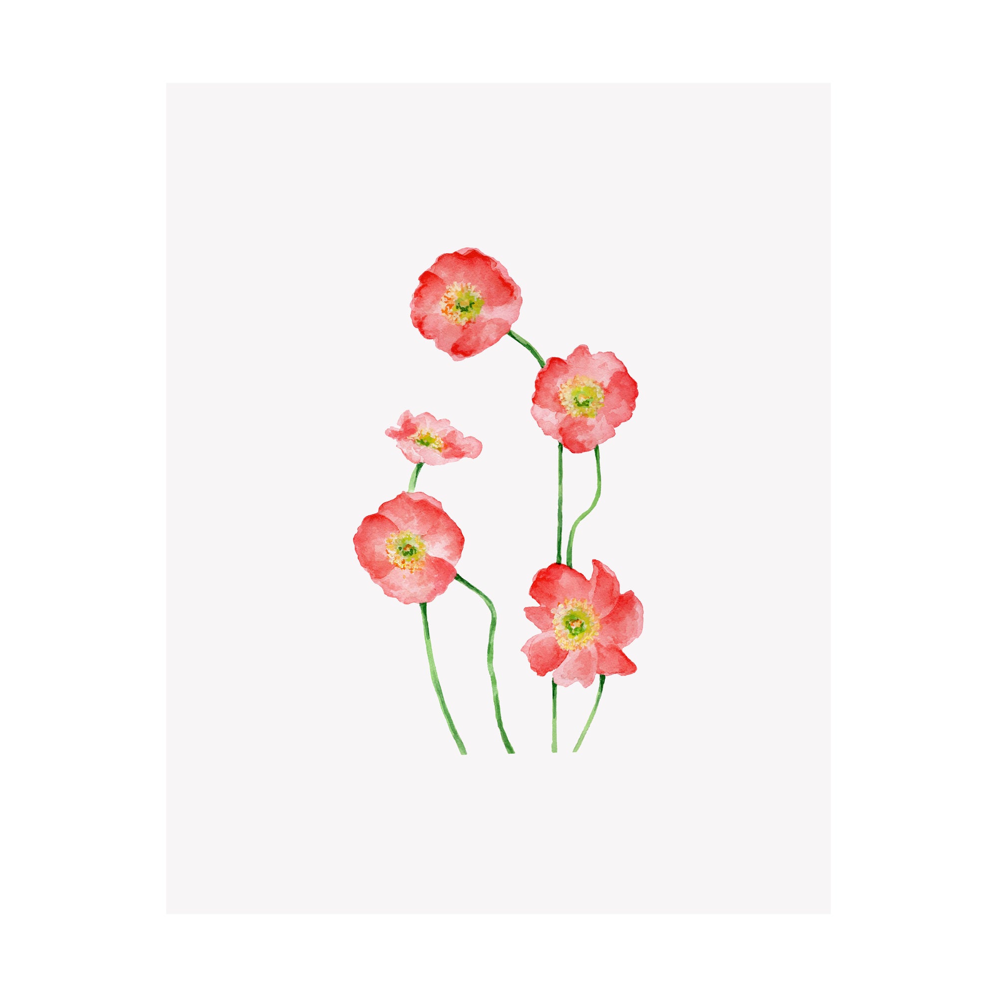Set of 4 Floral Prints- Black Eyed Susan, Clematis, Poppy, Morning Glory