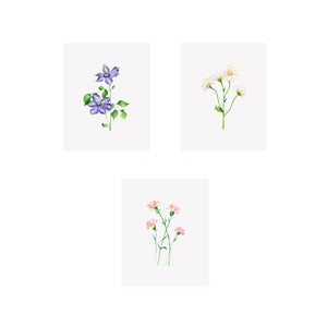 Set of 3 Floral Prints- Clematis, Daisy & Carnation