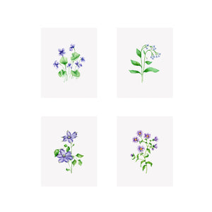 Set of 4 Floral Prints- Aster, Clematis, Violet, Virginia Bluebell