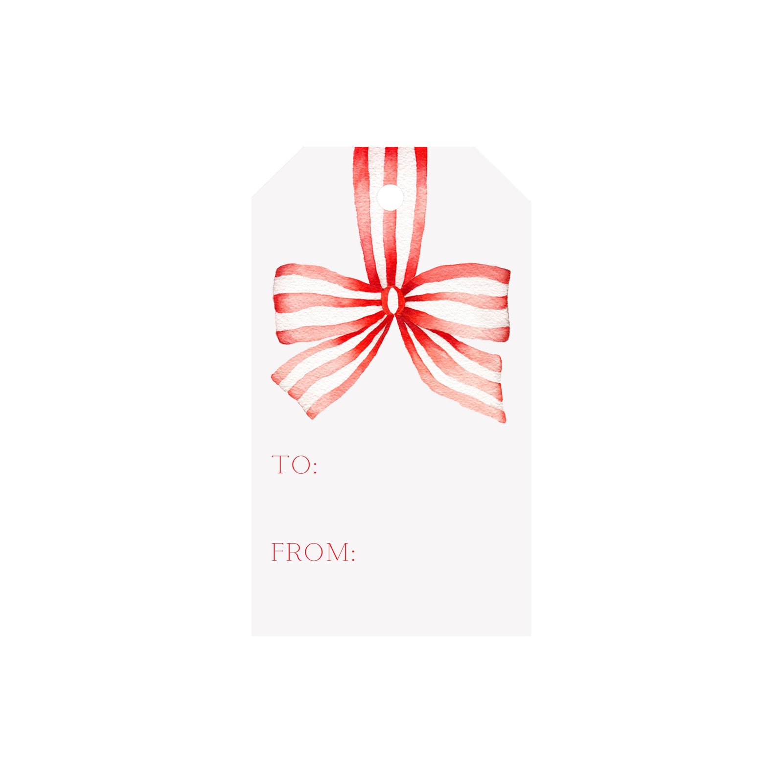 Striped Ribbon Luggage Gift Tags