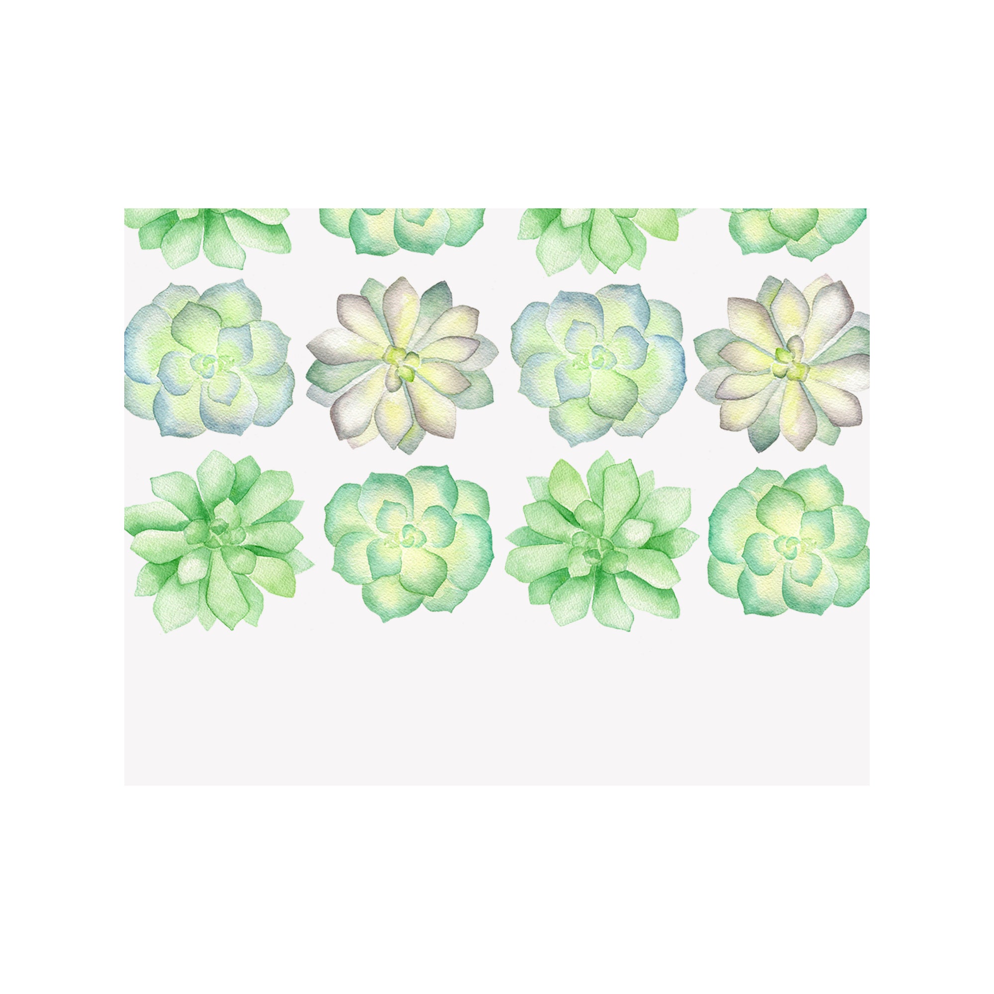 Succulent Note Cards