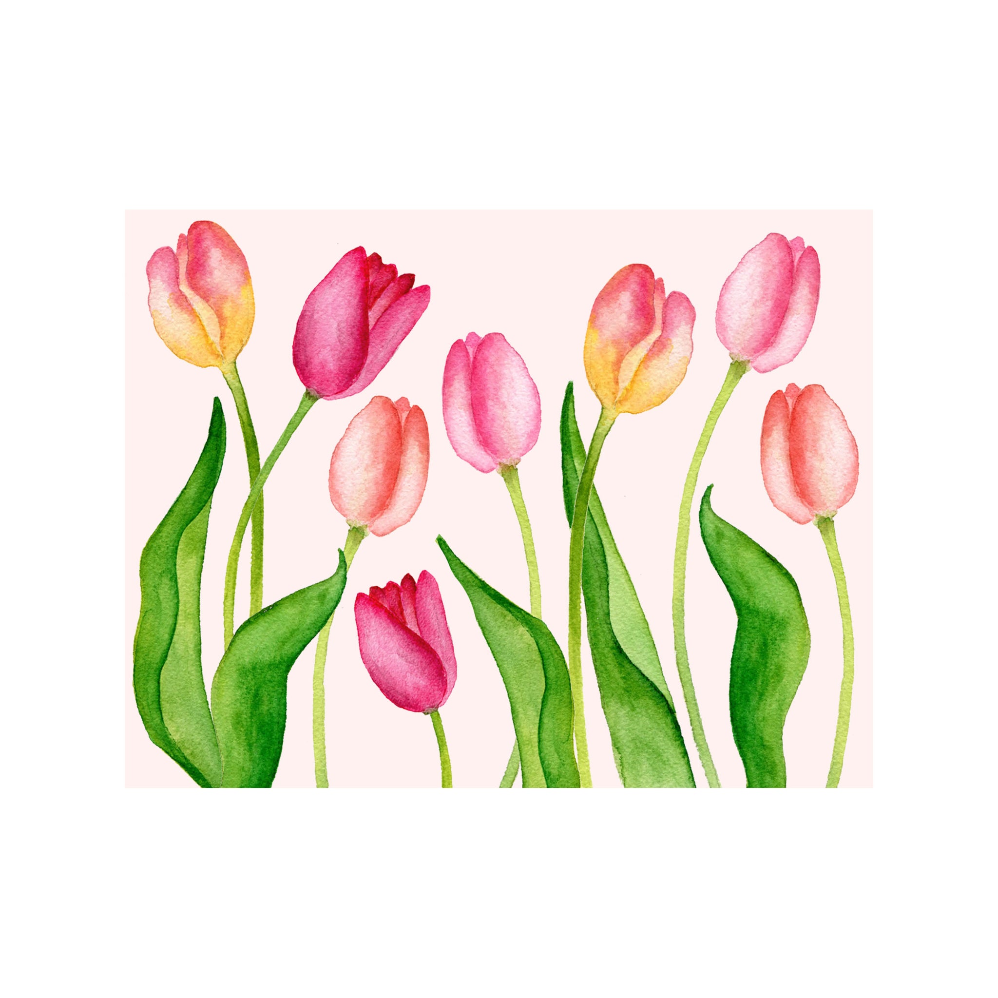 Tulips Note Tulip Note Cards - Brake Ink Stationery