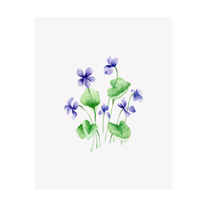 Set of 4 Floral Prints- Aster, Clematis, Violet, Virginia Bluebell